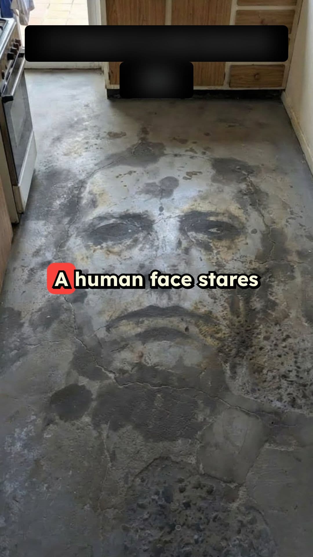 The Faces in the Concrete