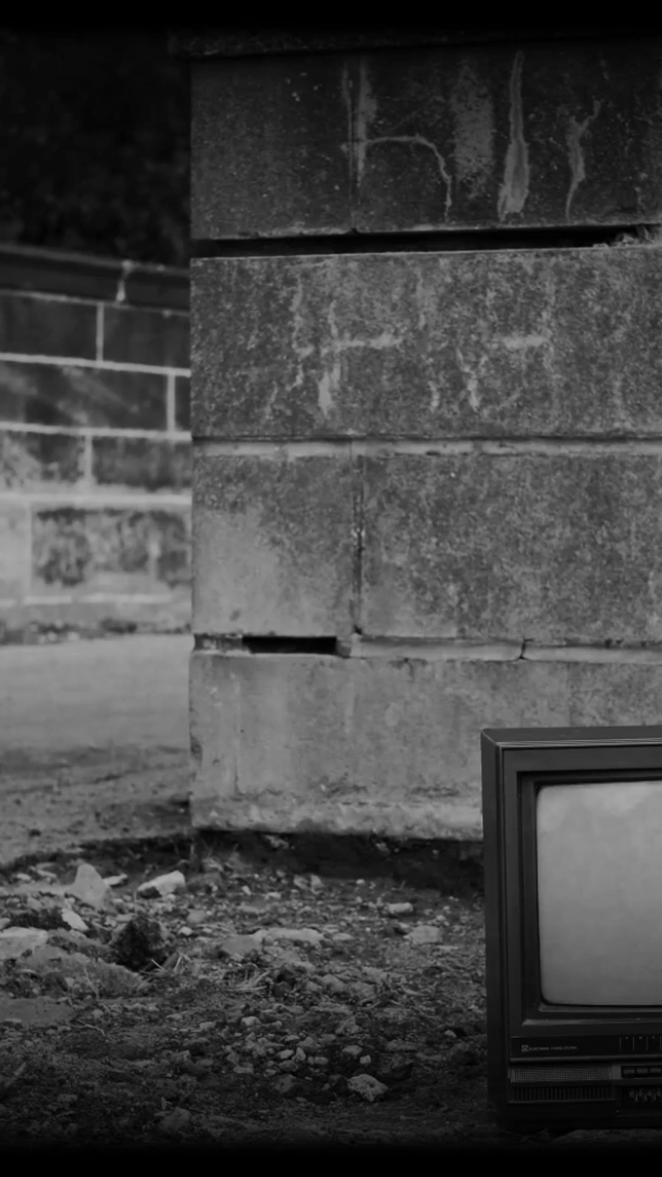 Назад к свету