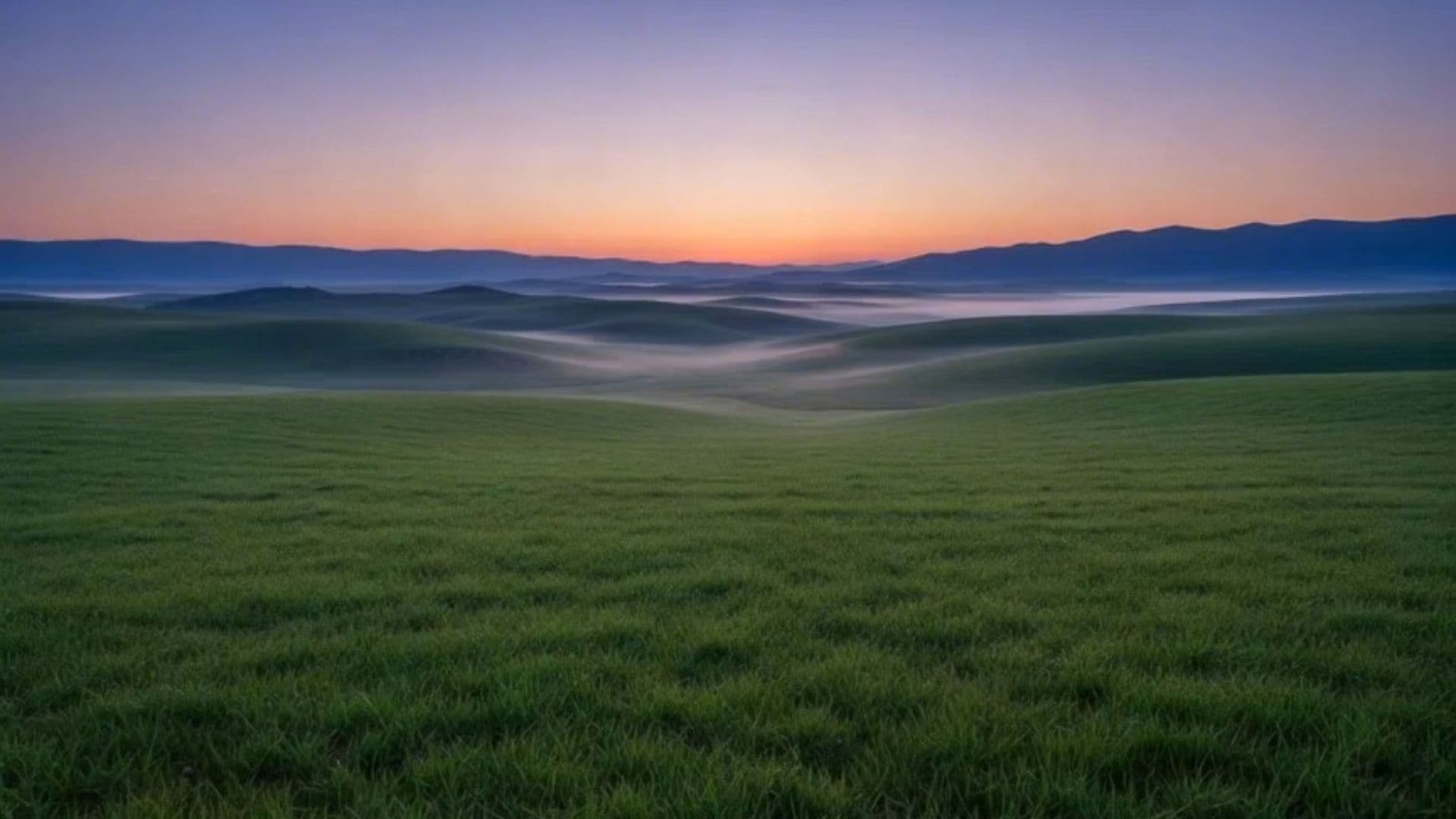 Sunlit Walk with Jesus