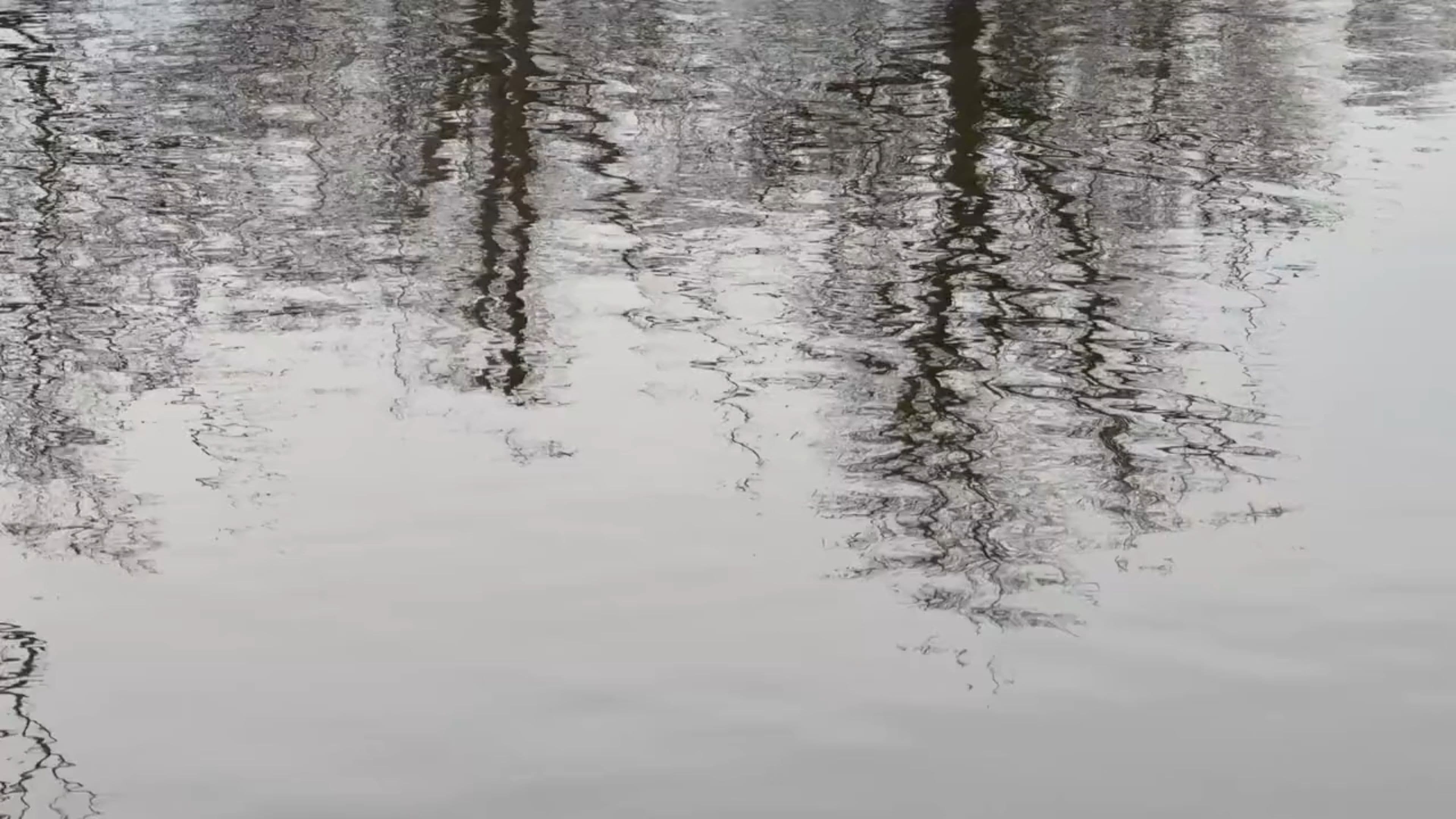 Words between the notes