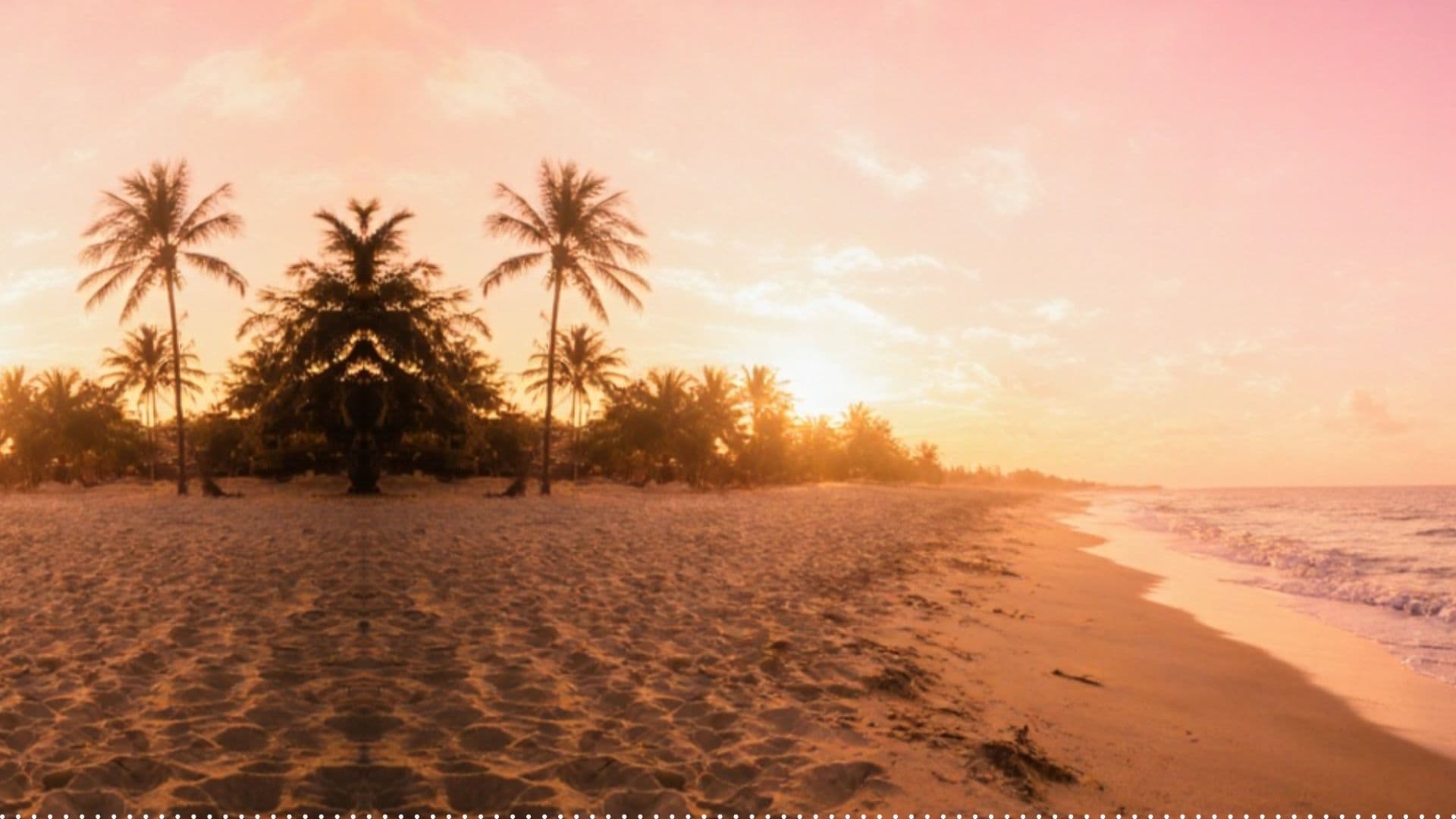 Ljeto, ljubav i kokteli