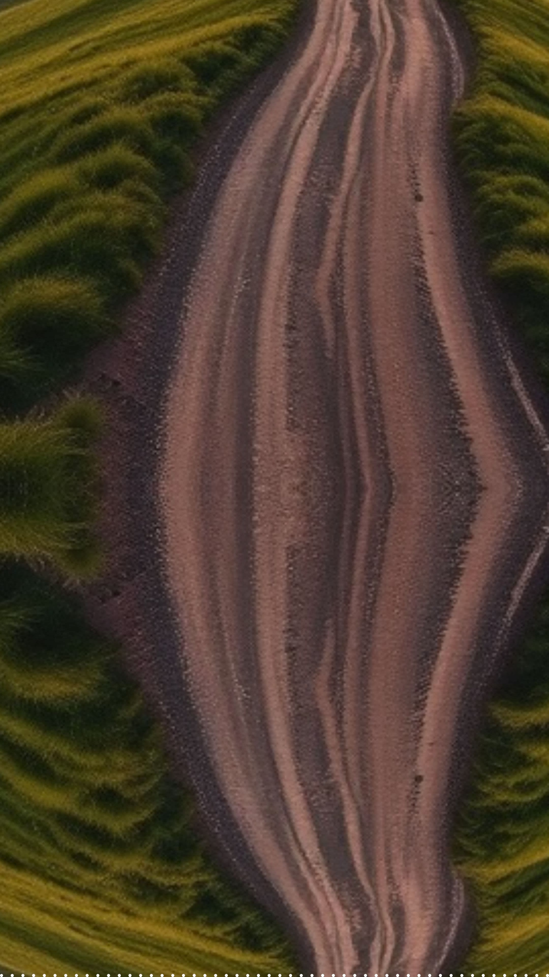 Blessed is the Pilgrim