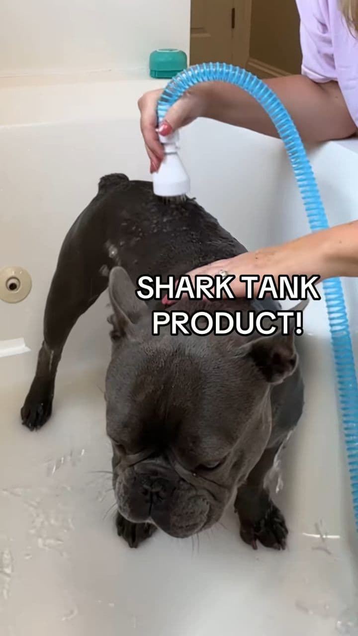 Easier Bath Time with Faucet Sprayer