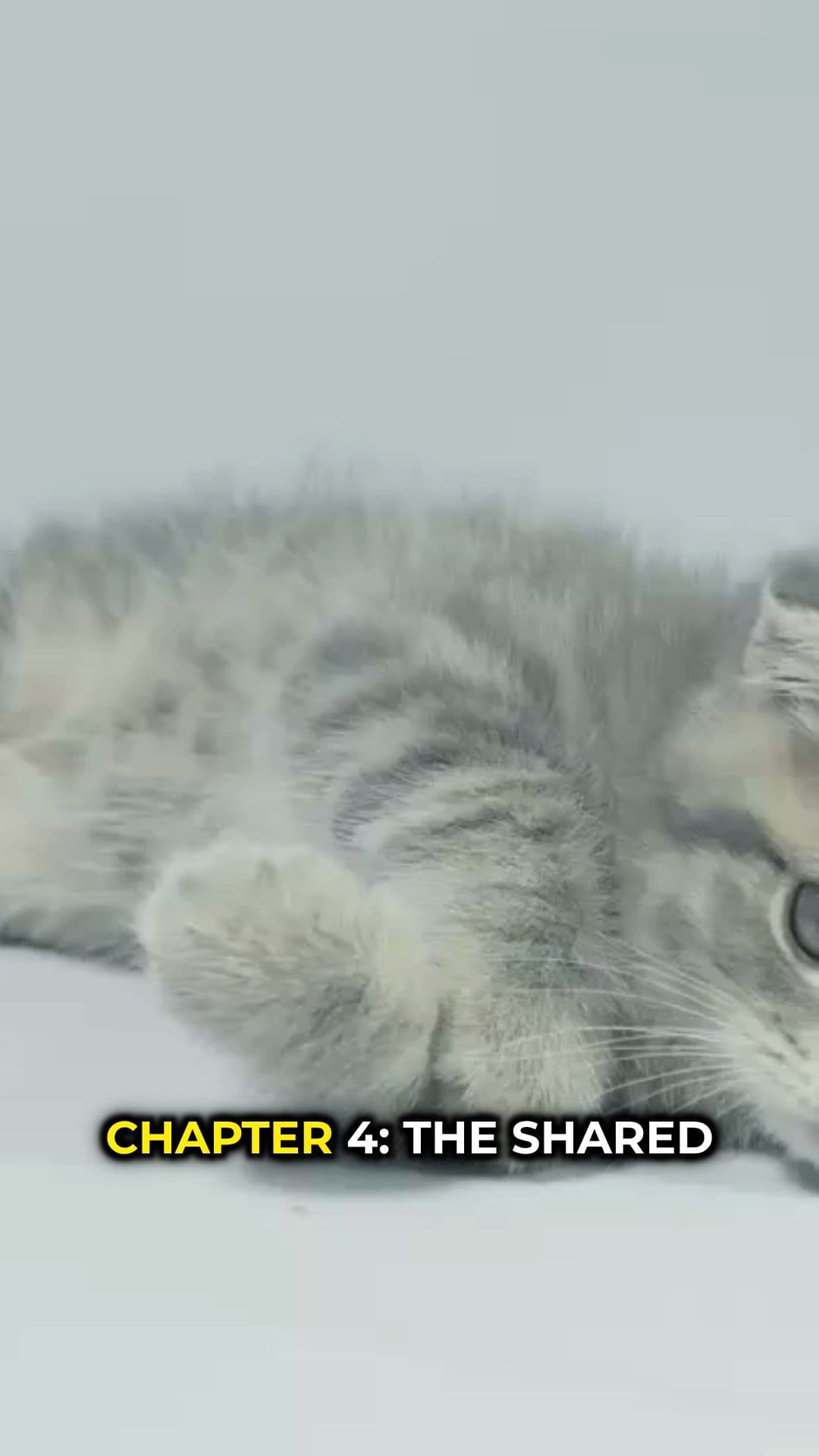 Shared Scars of Survival