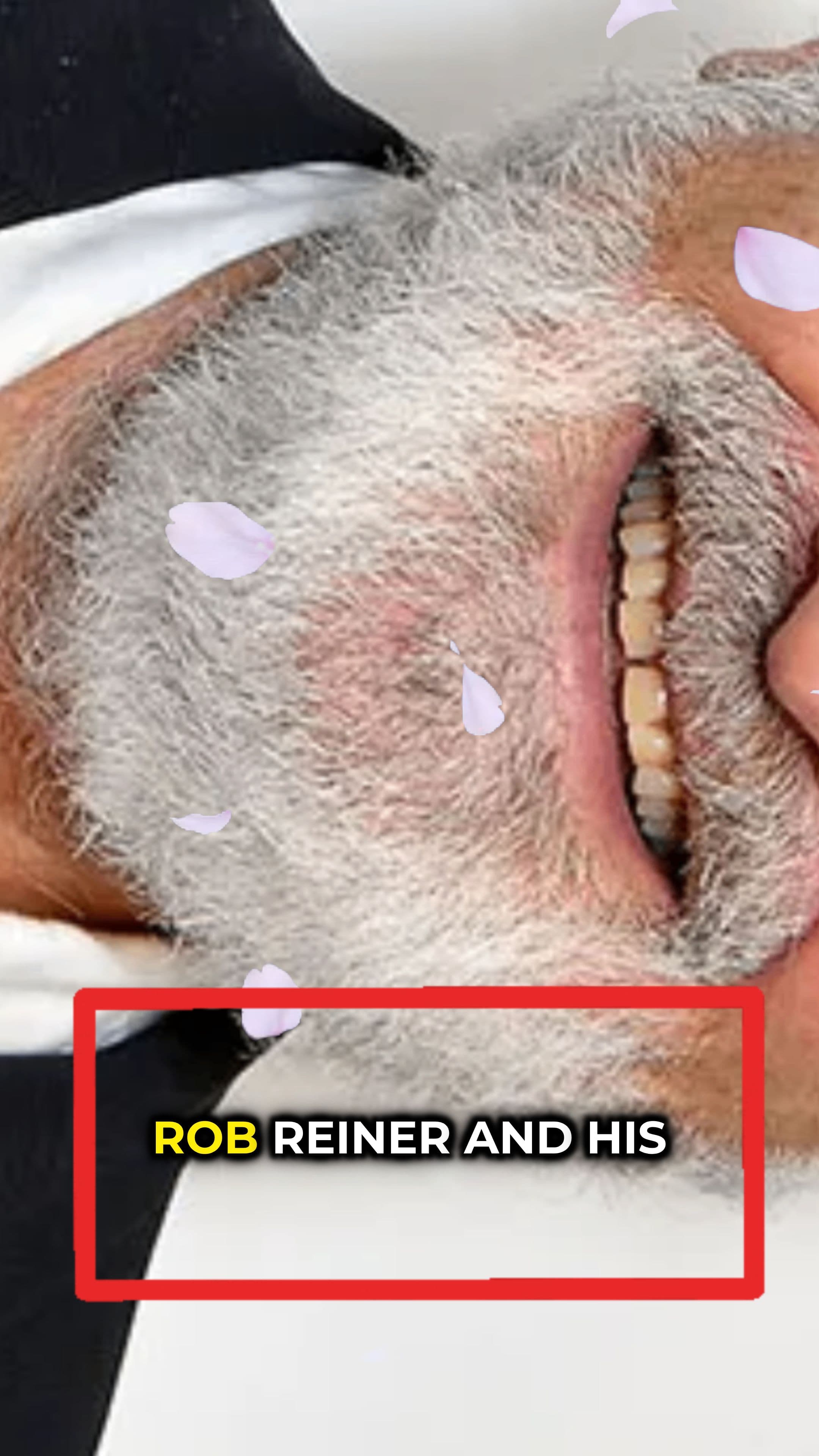 Rob Reiner and Wife Killed by Son