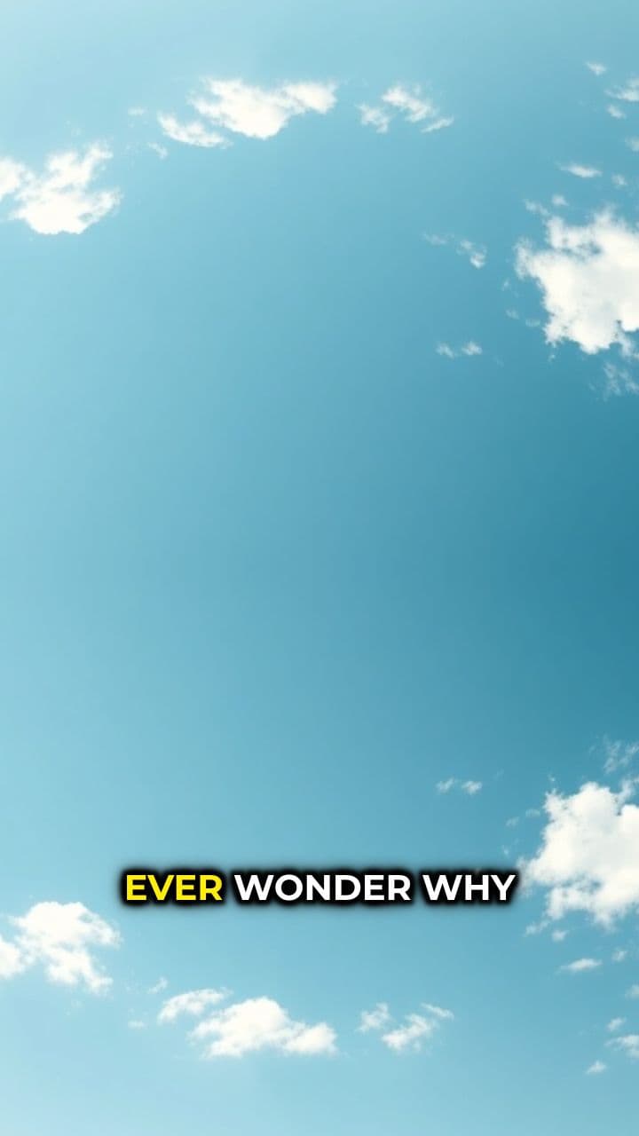 Cut Your Car Insurance Costs Now