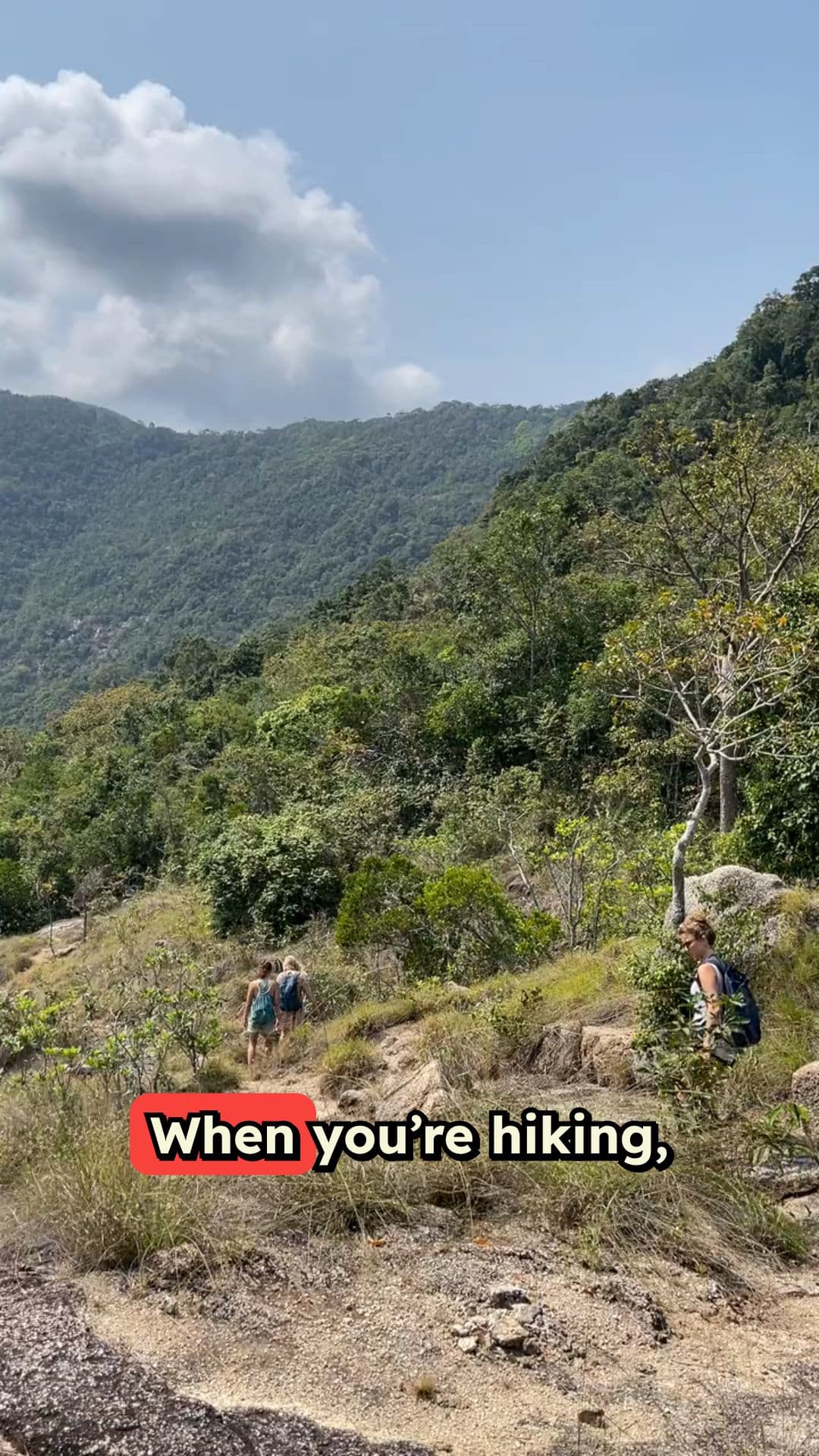 Essential Hiking Snacks and Hydration Tips