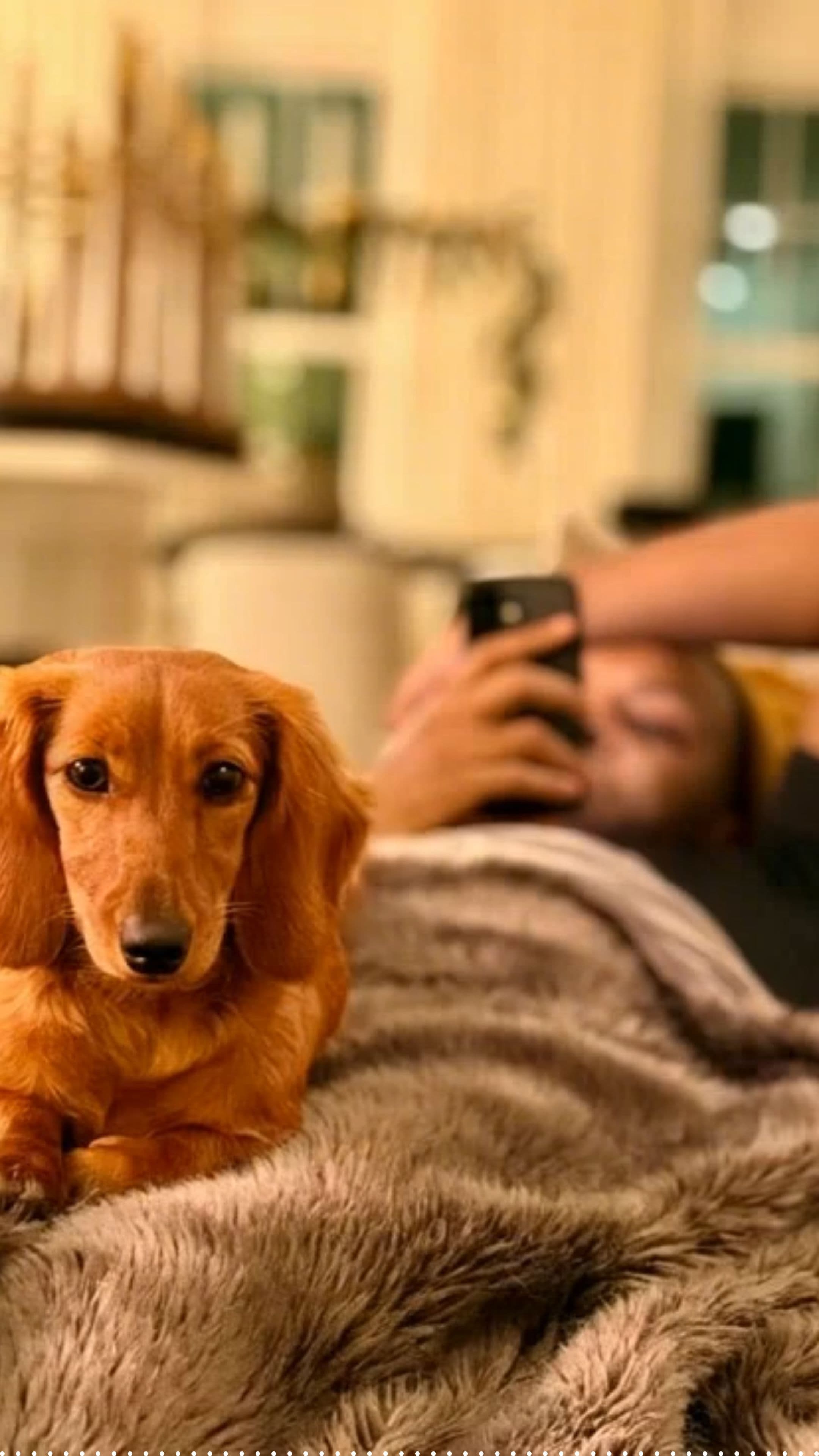 From Whisper to Triumph