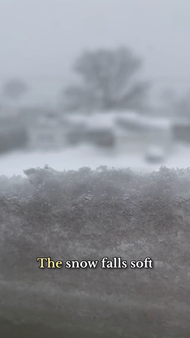 Snowfall Christmas Night