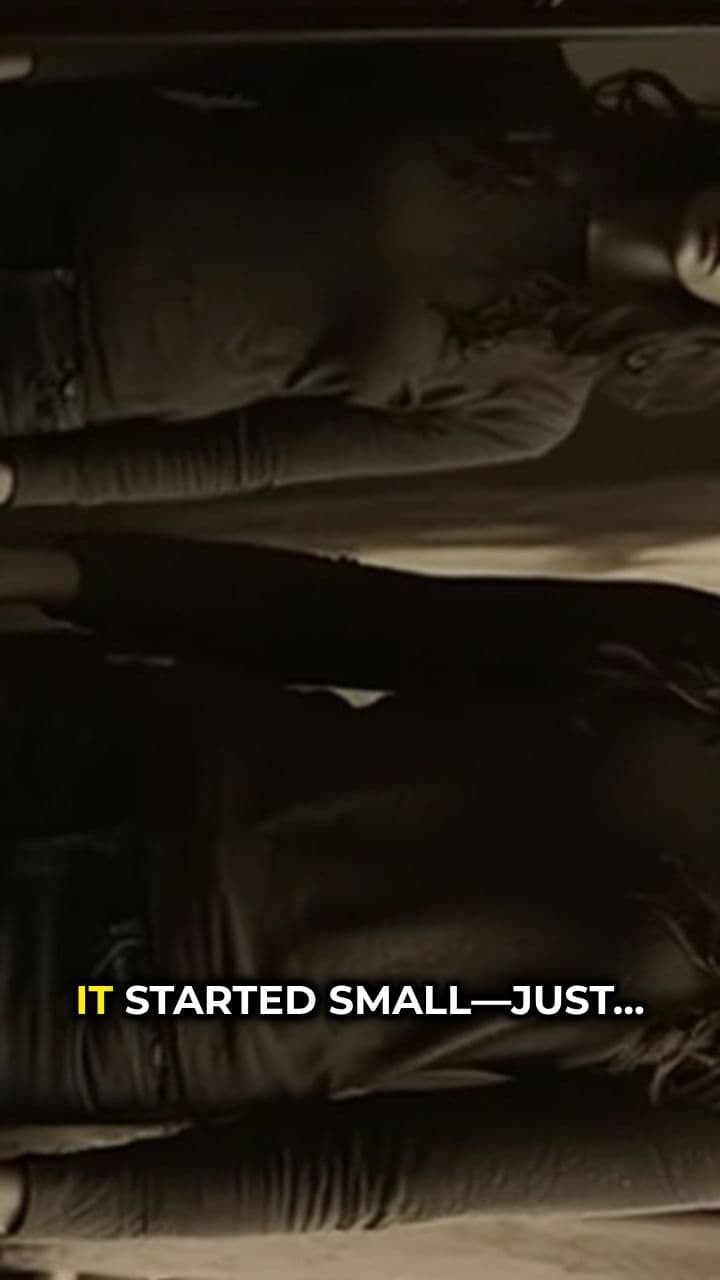 Reflections of Paranoia