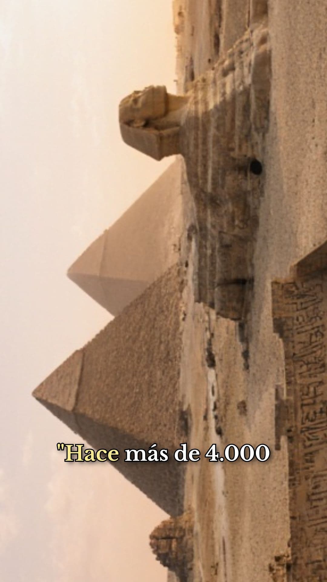 Gatos: Guardianes Espirituales del Antiguo Egipto