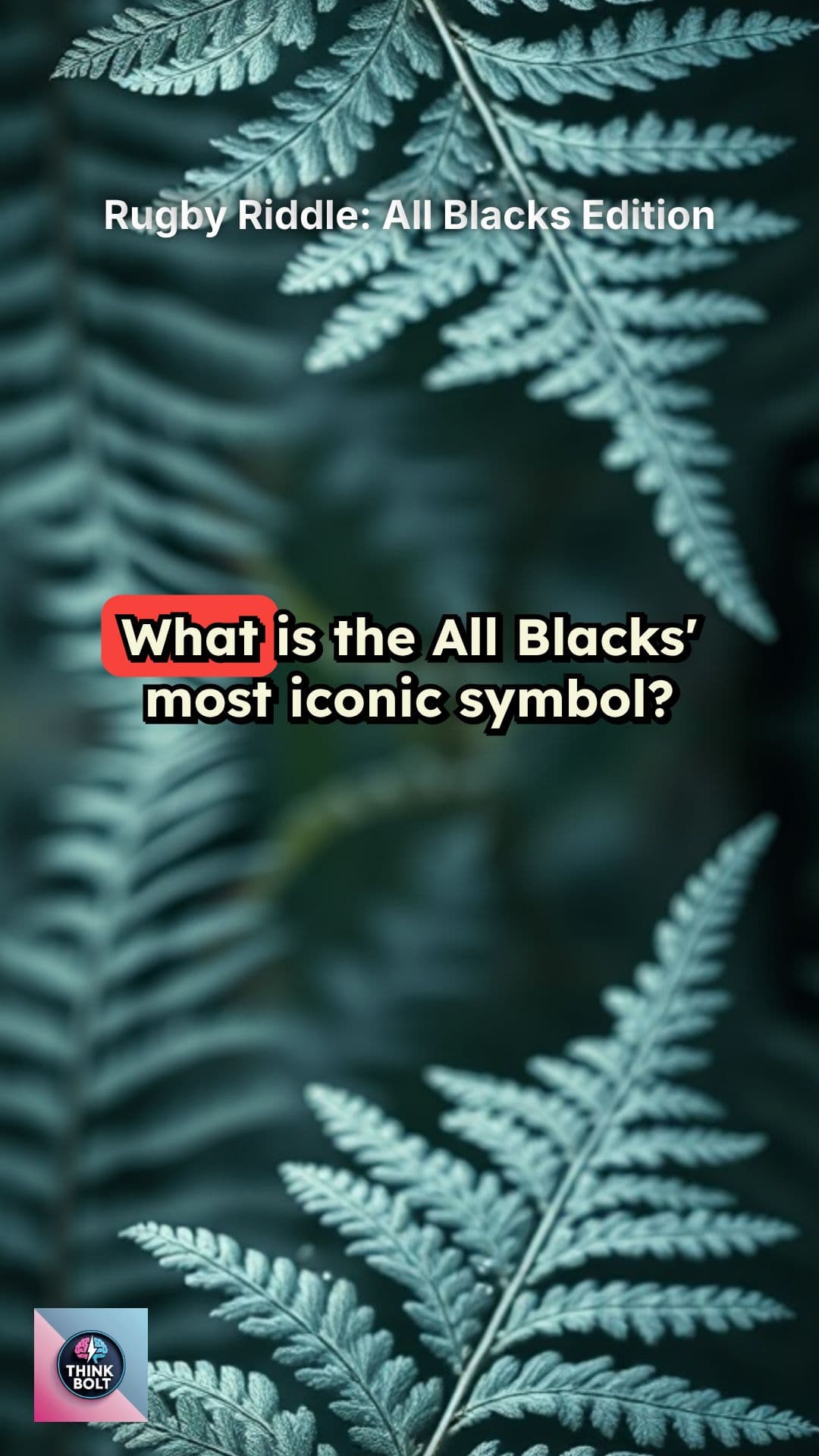 Rugby Riddle: All Blacks Edition