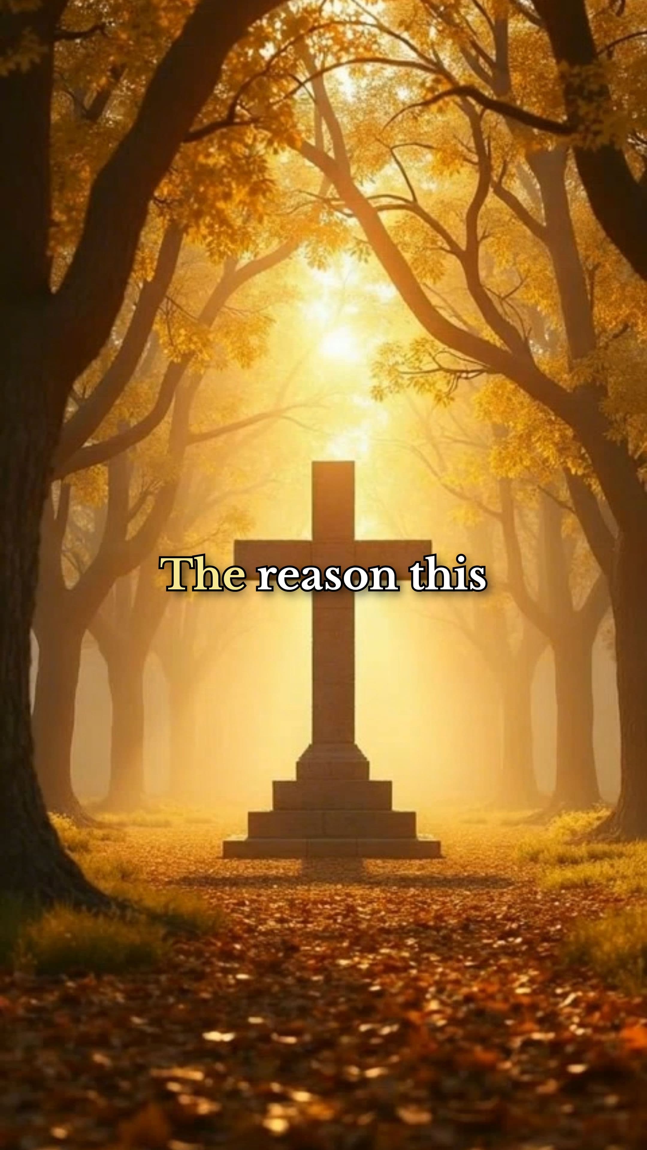 Prepared for Your Next Step