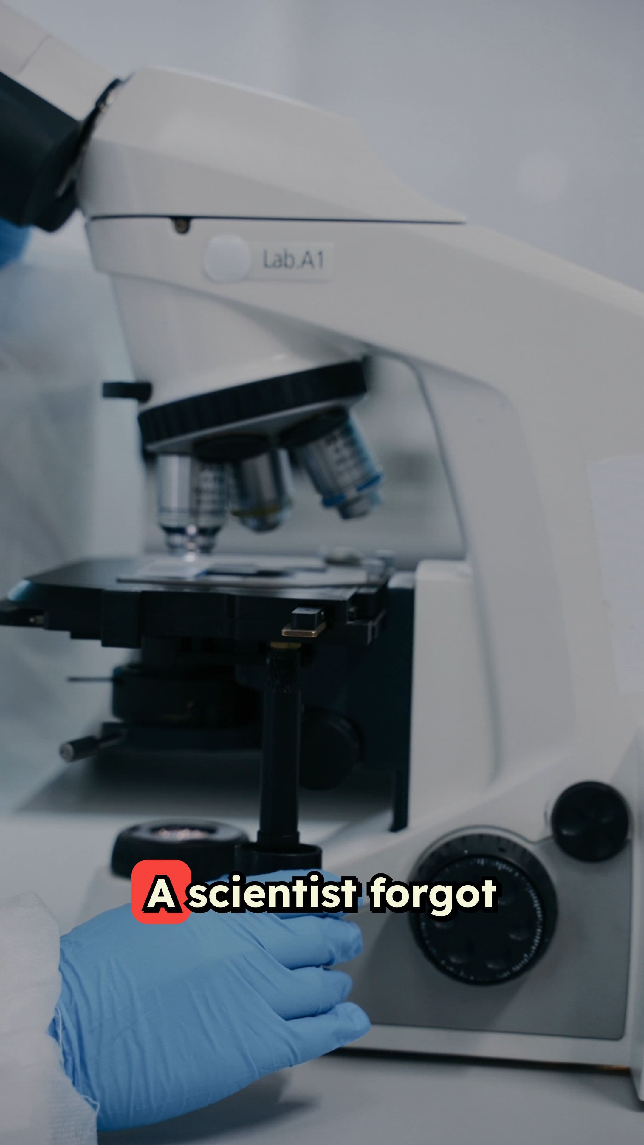 The Accidental Discovery of Penicillin