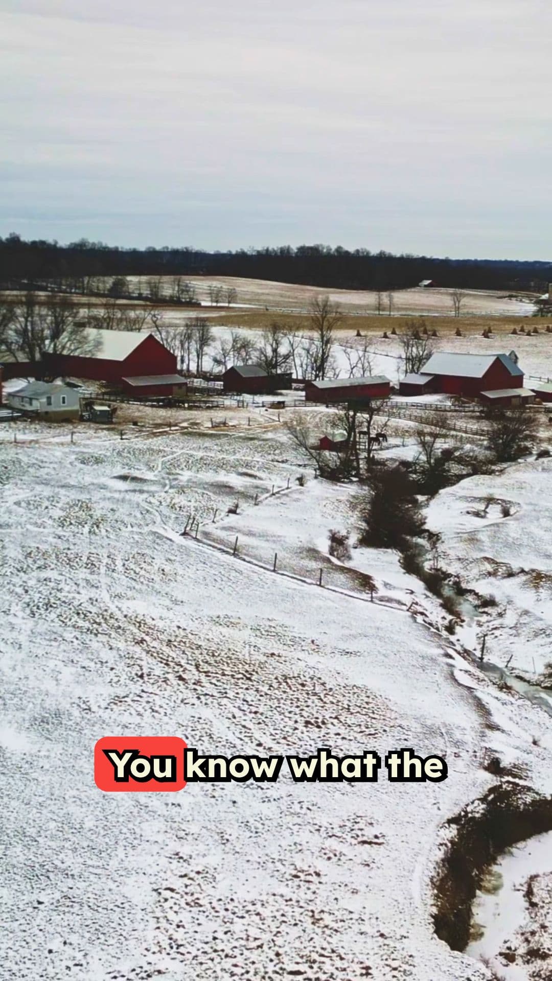 Amish Wisdom: Food Safety Without Power