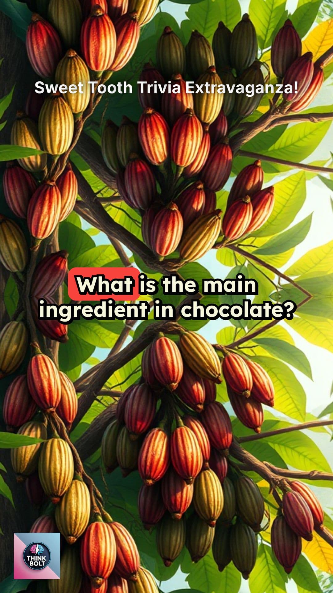 Sweet Tooth Trivia Extravaganza!