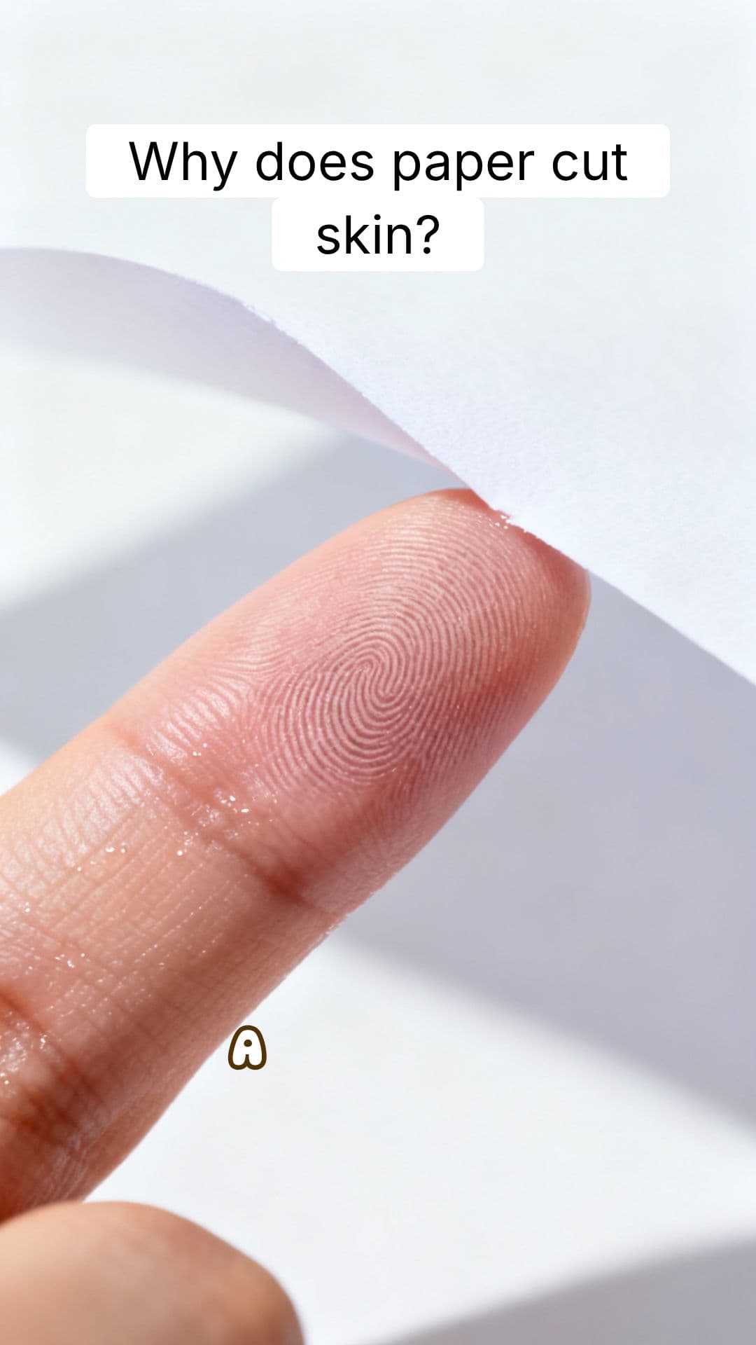 Why Does Paper Cut Skin So Easily? | RapidSmartFacts