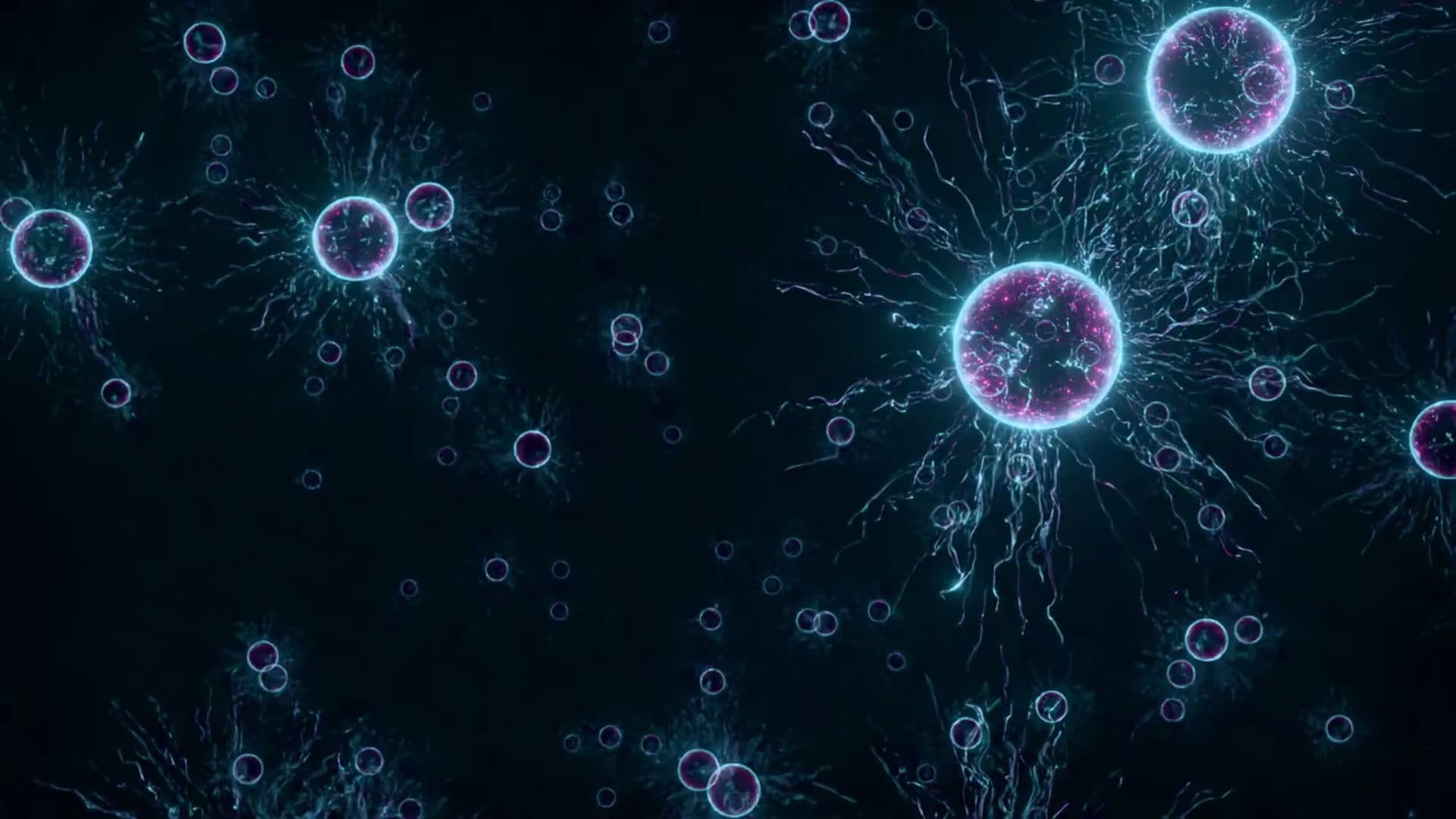 The Experiment of Existence