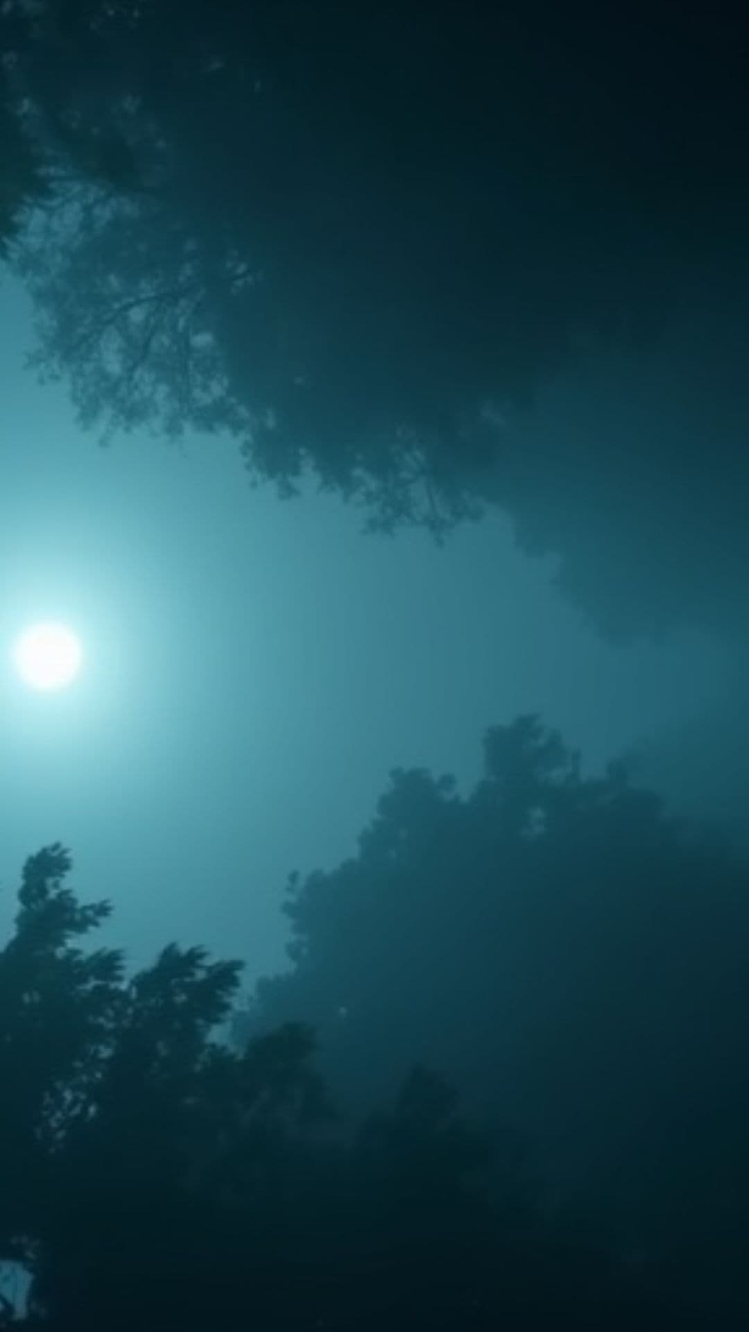 El Cadejo Negro: La Sombra de la Noche