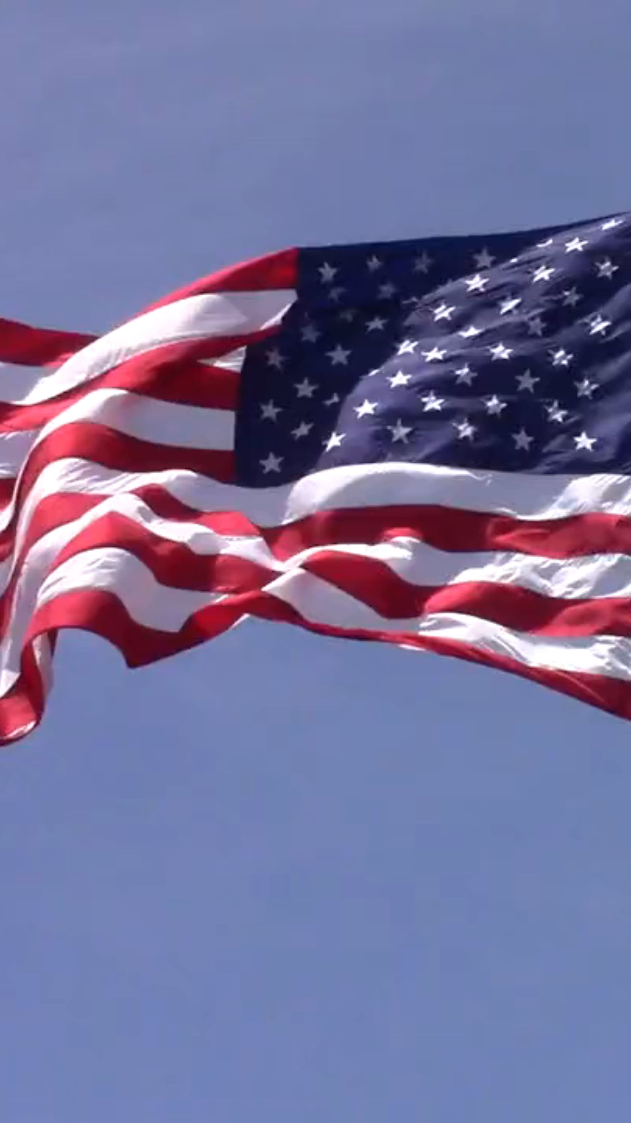 They Stood for Freedom