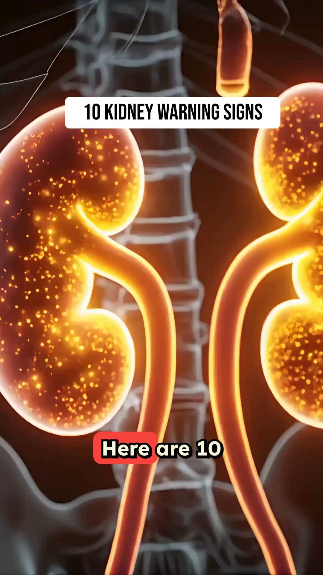 Kidney Warning Signs