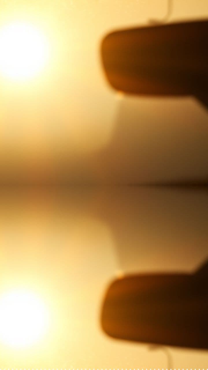 Hakata Bay Line Cruise