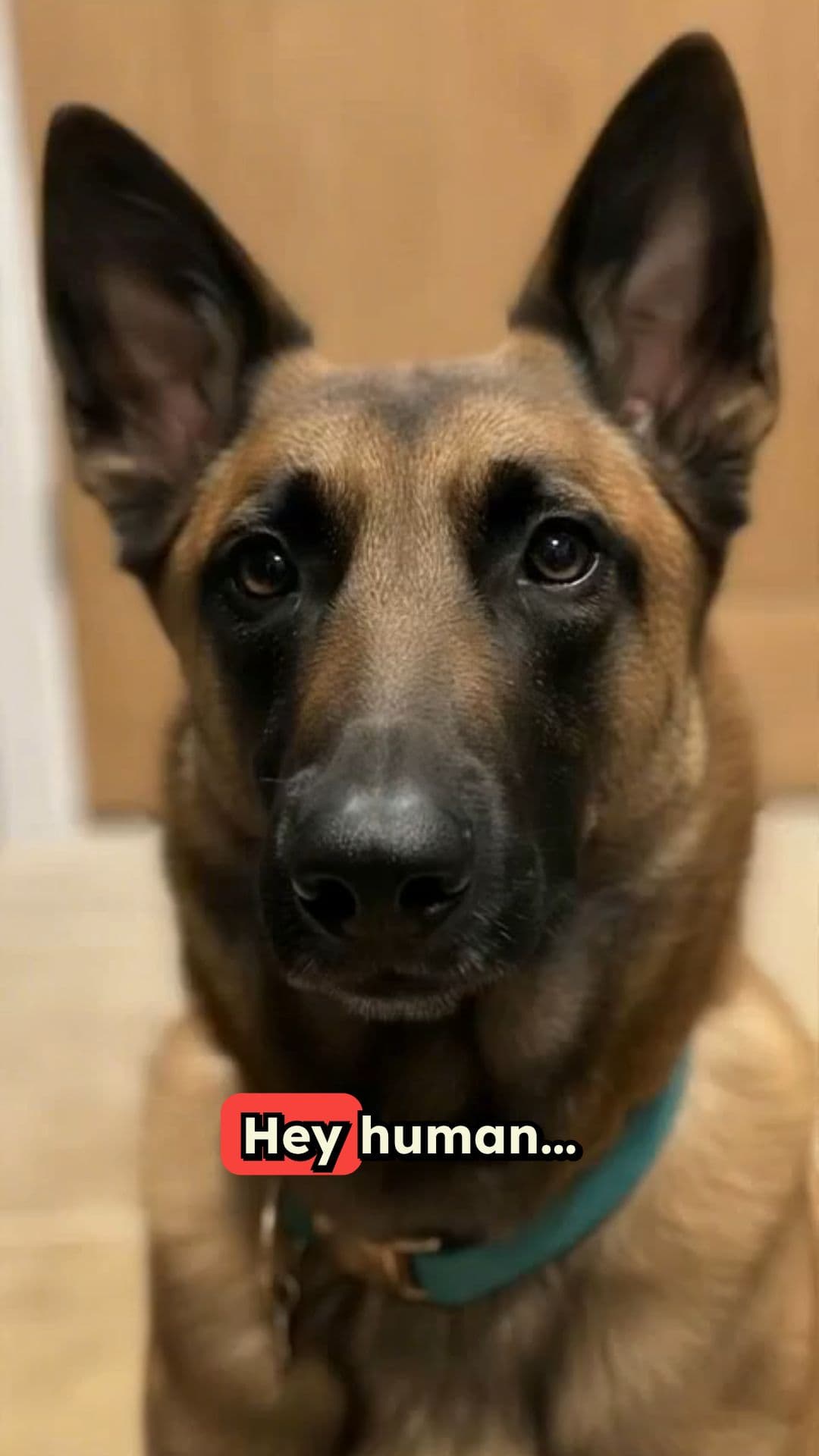 Finding Peace in Presence