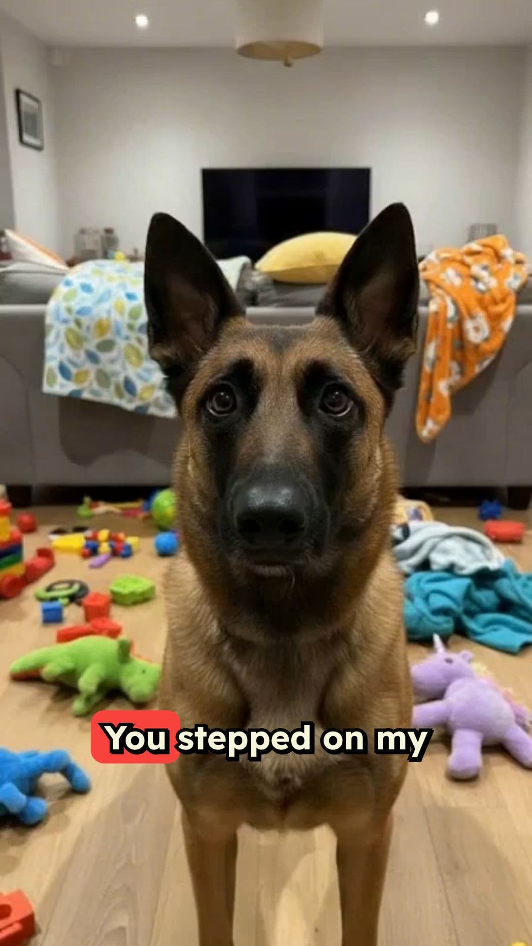 Forgiveness Like a Dog's Love