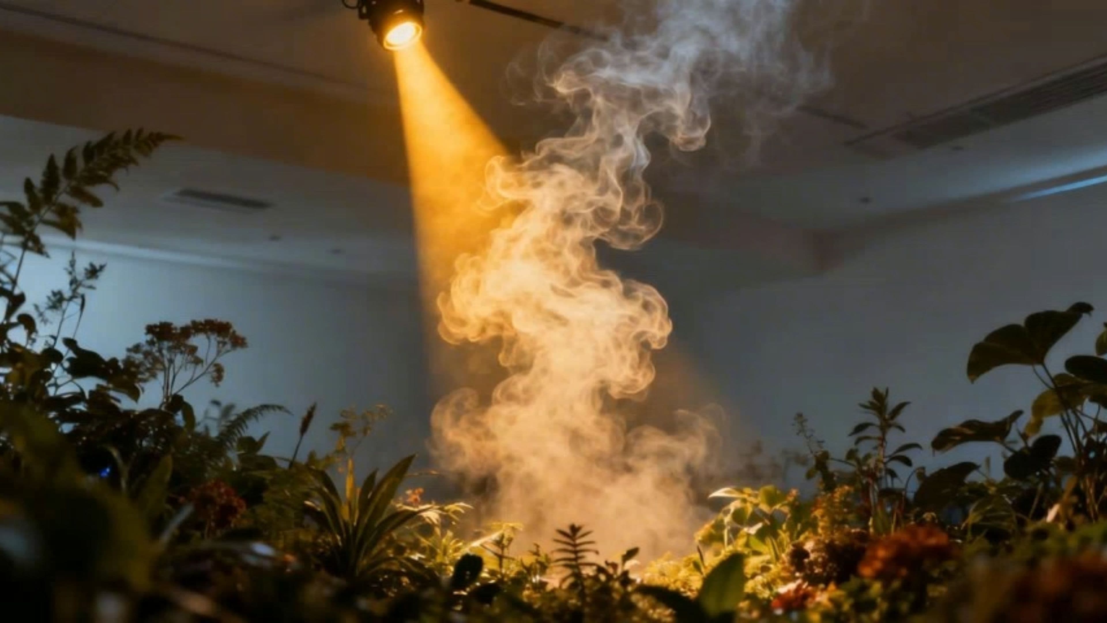 Dreaming of Her Love