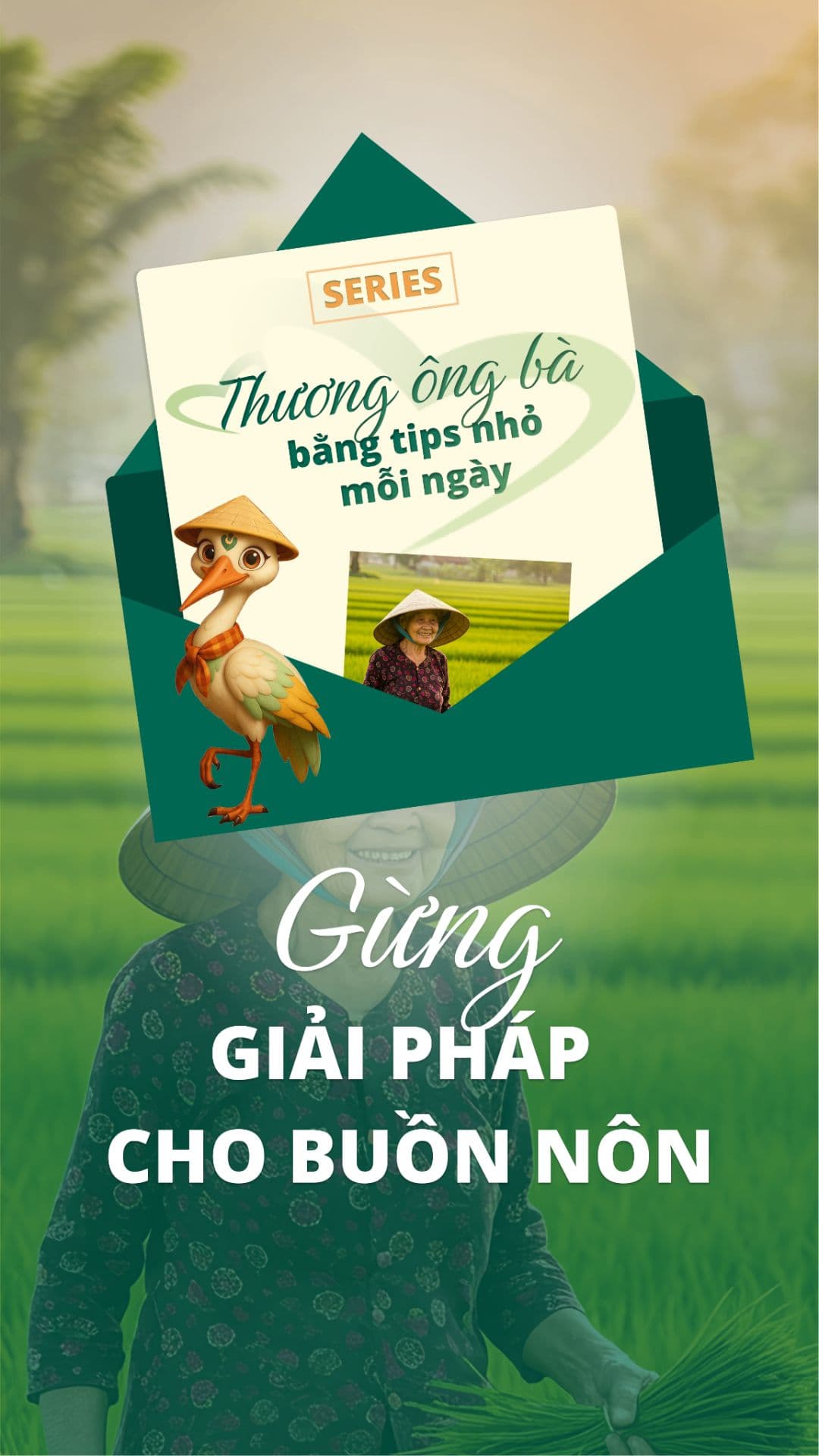 *Gừng: Giải pháp cho cơn buồn nôn