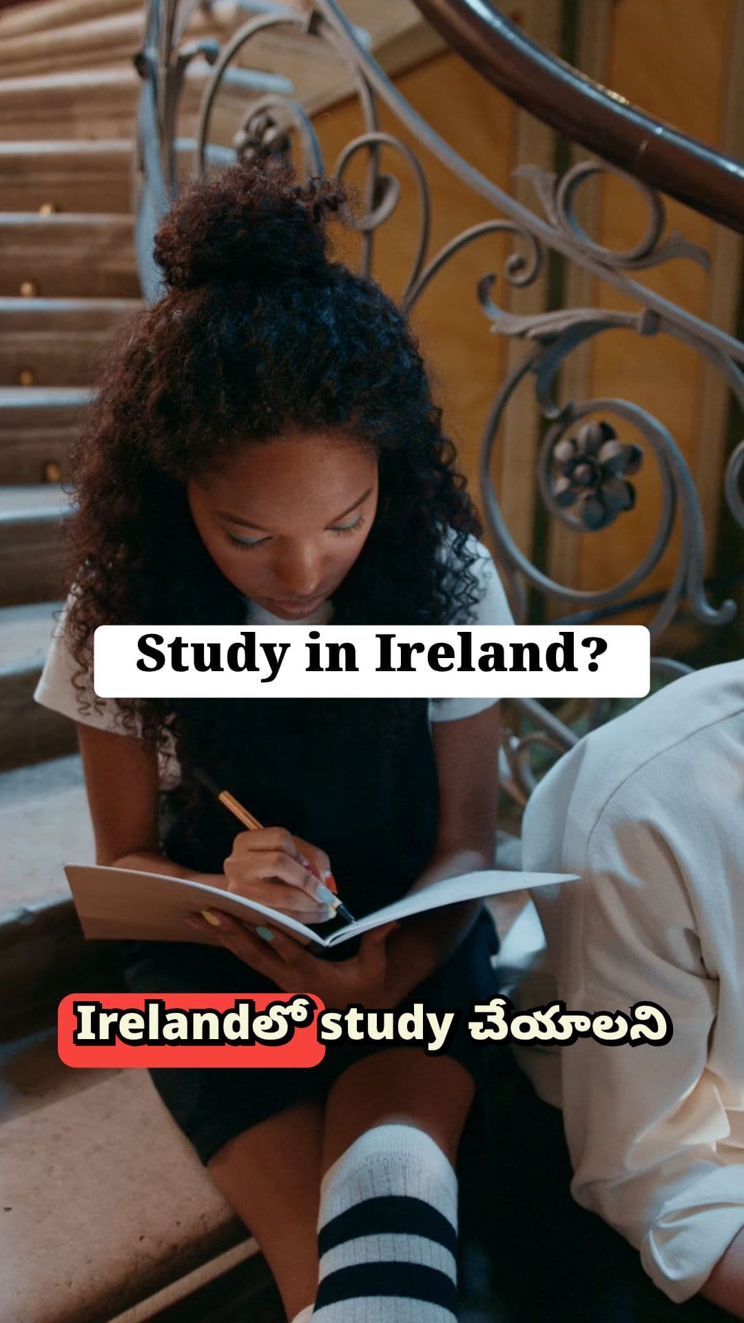 Education Loans for Ireland Studies - North24