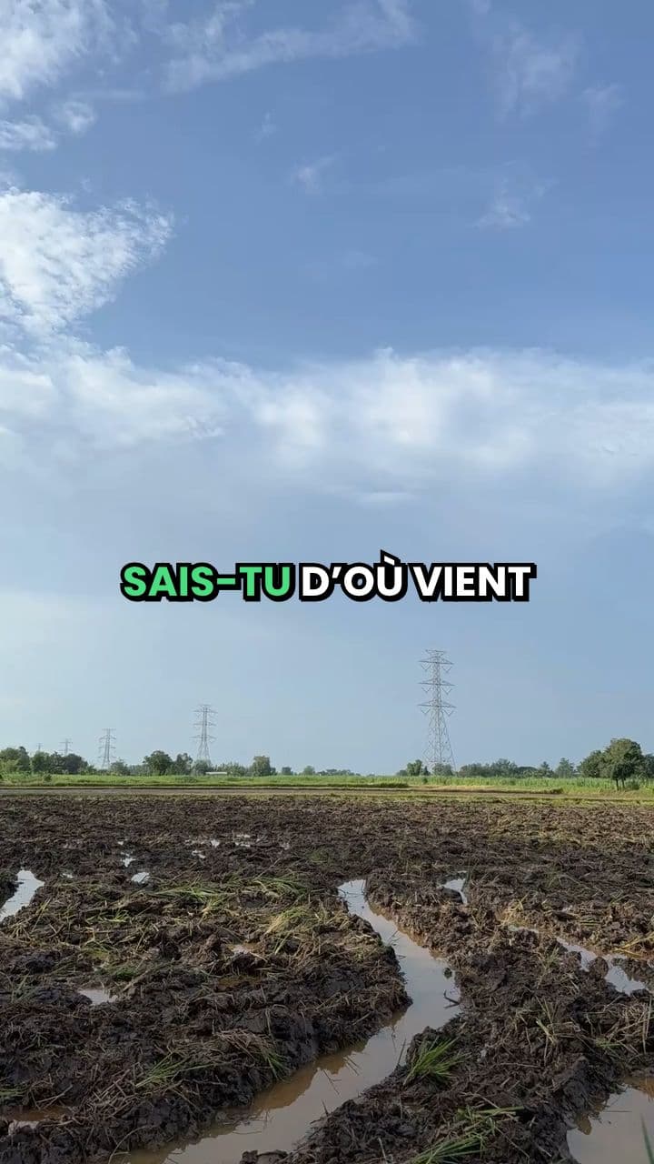 27. Remuer ciel et terre