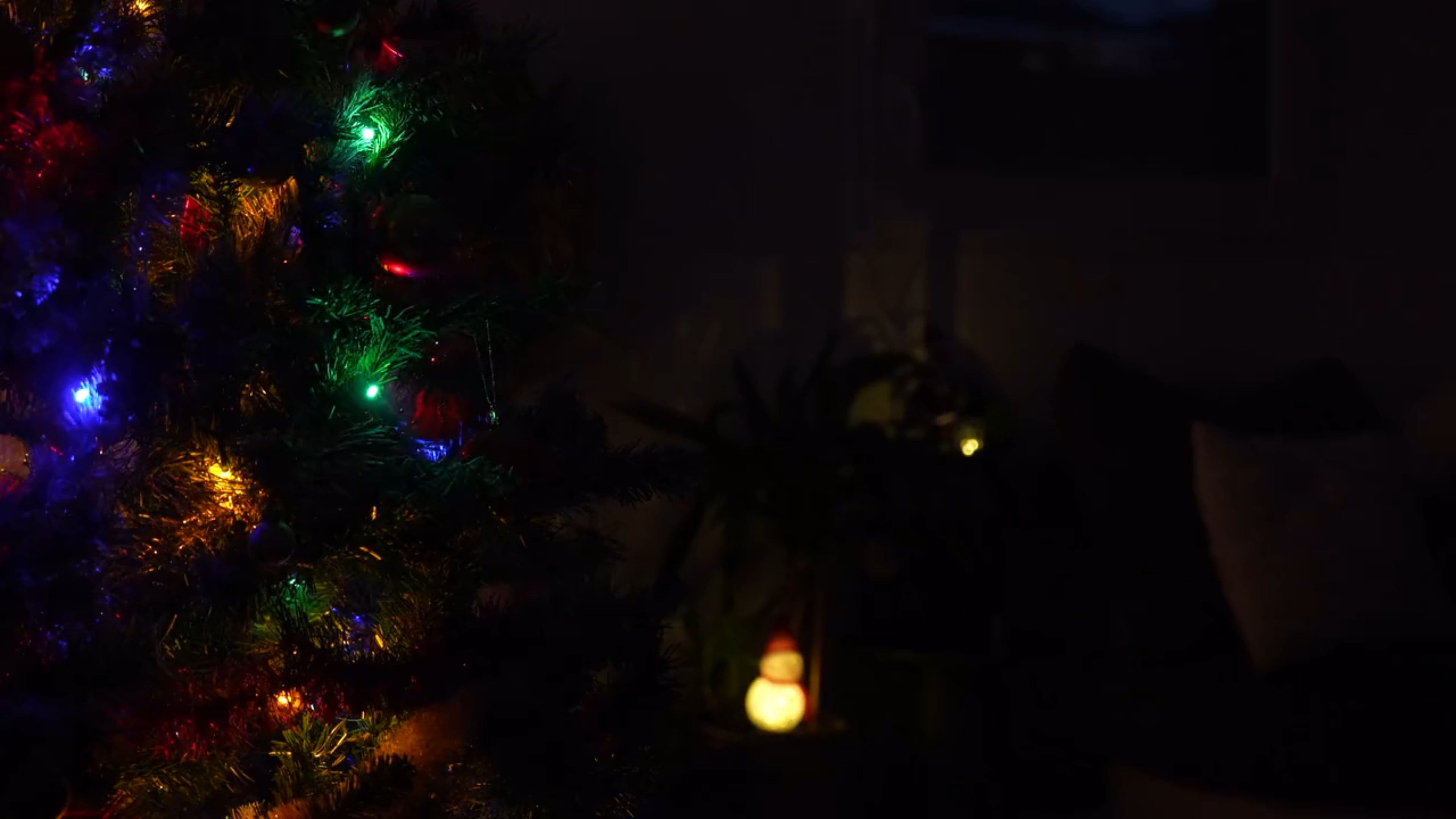 Indian Christmas Festivities