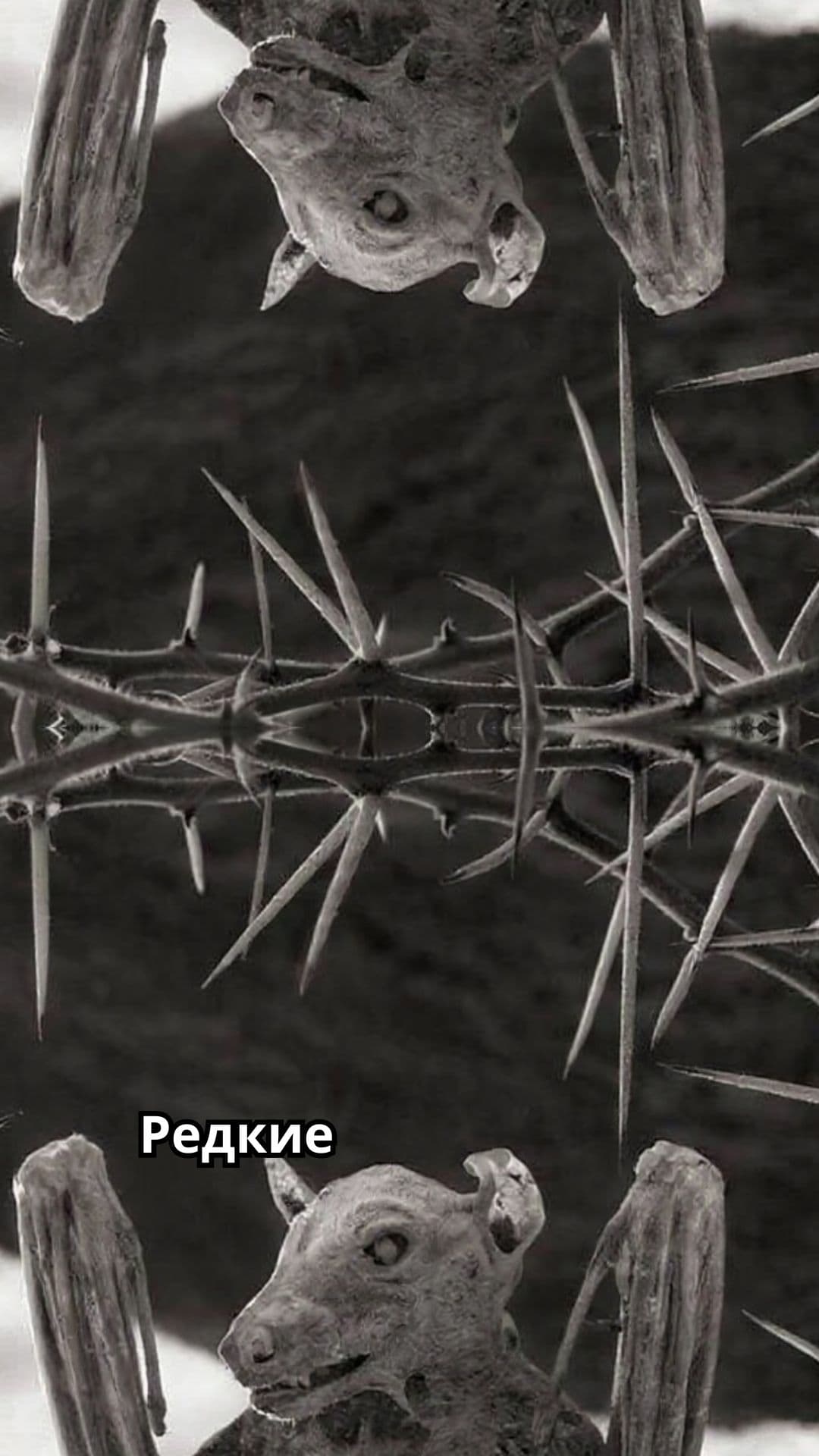 Редкие и удивительные природные явления