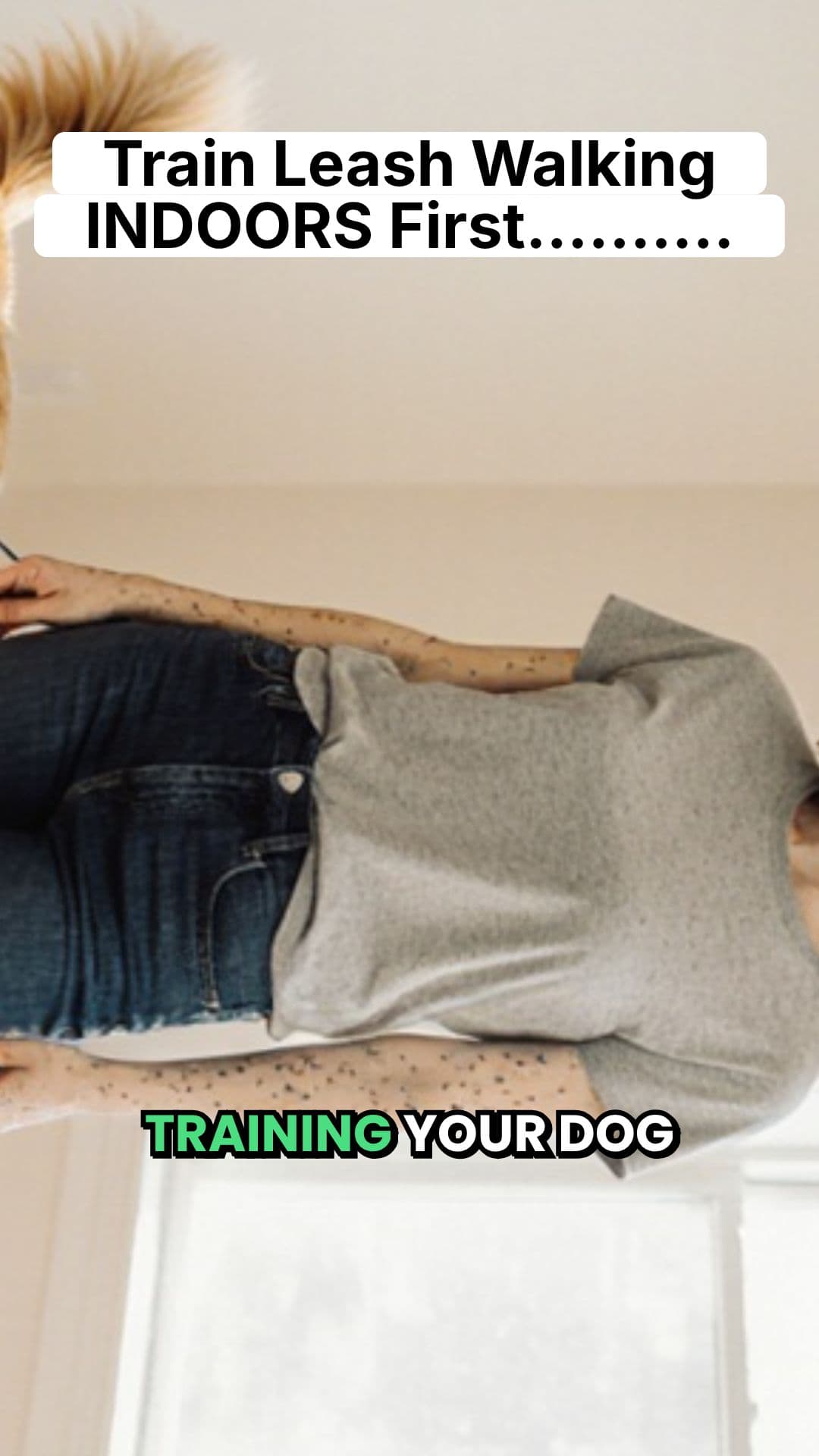 Loose Leash Walking Made Easy