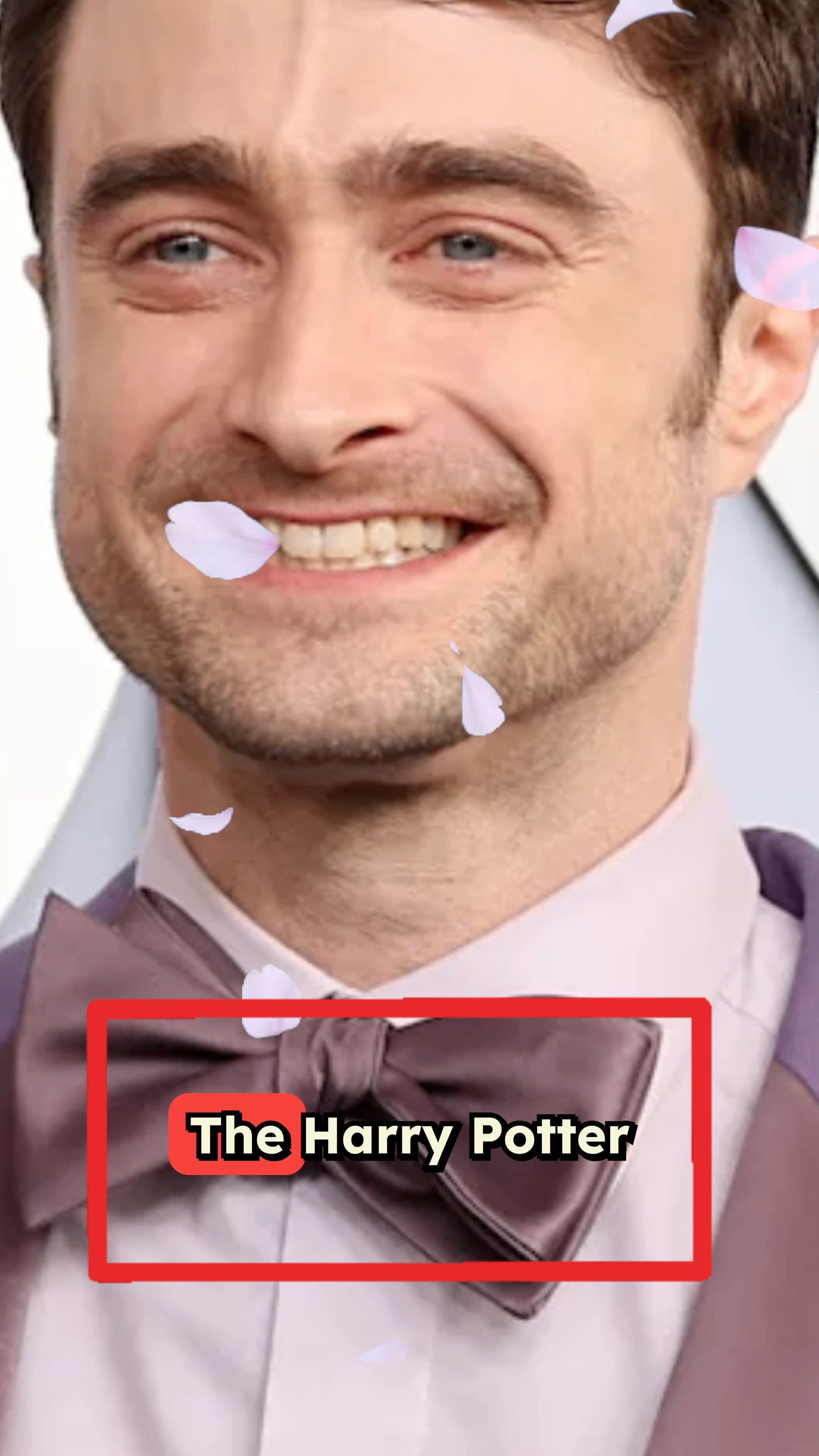 Harry Potter Reunion: Friendship Over Rivalry