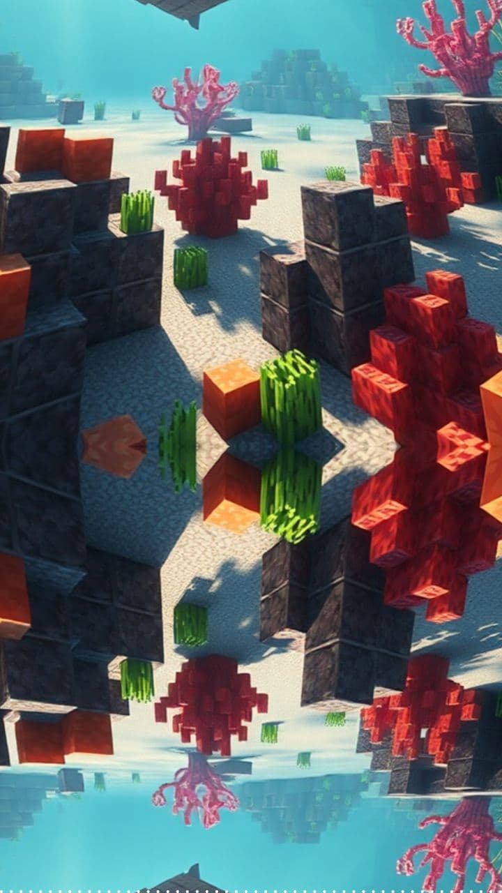 Where did the baby Nautilus go