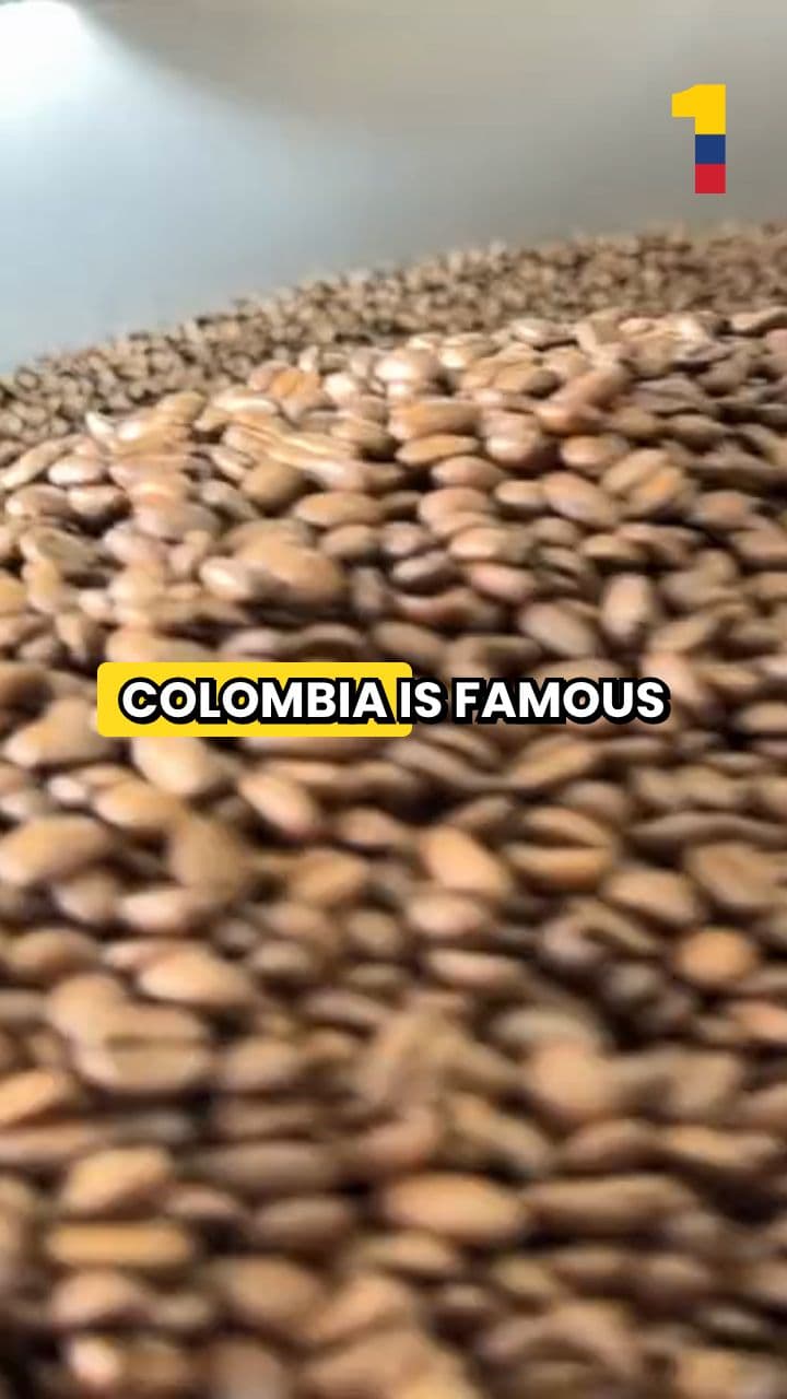 Colombia's New Wave of Coffee Culture