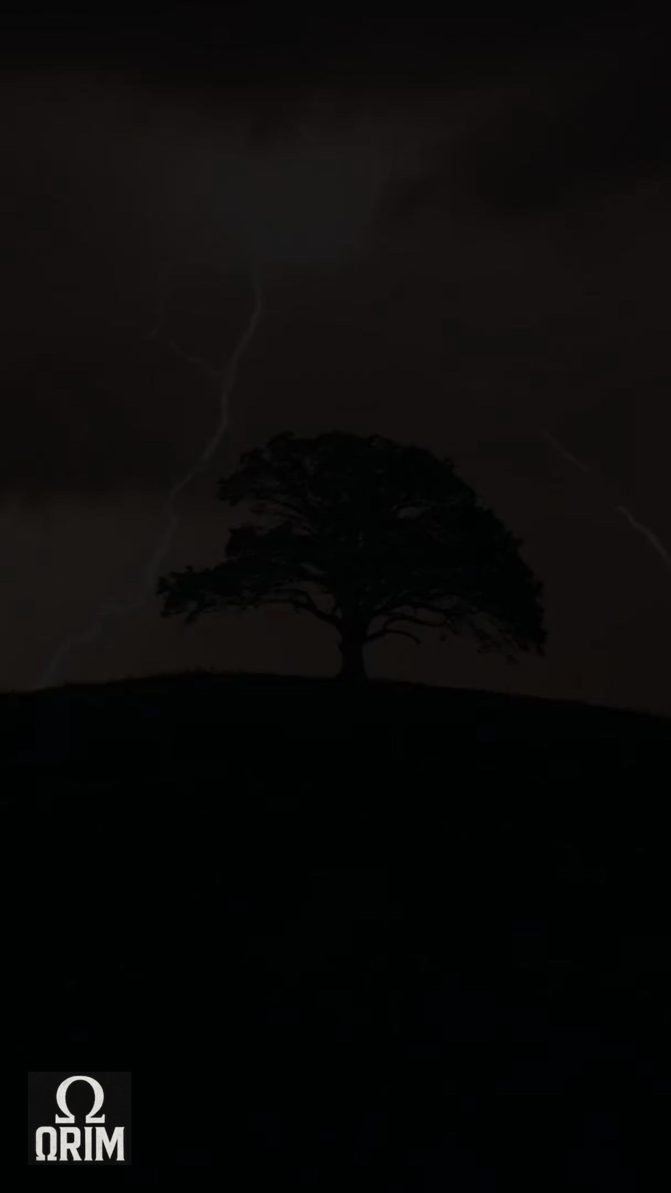 Nos Statues Intemporelles