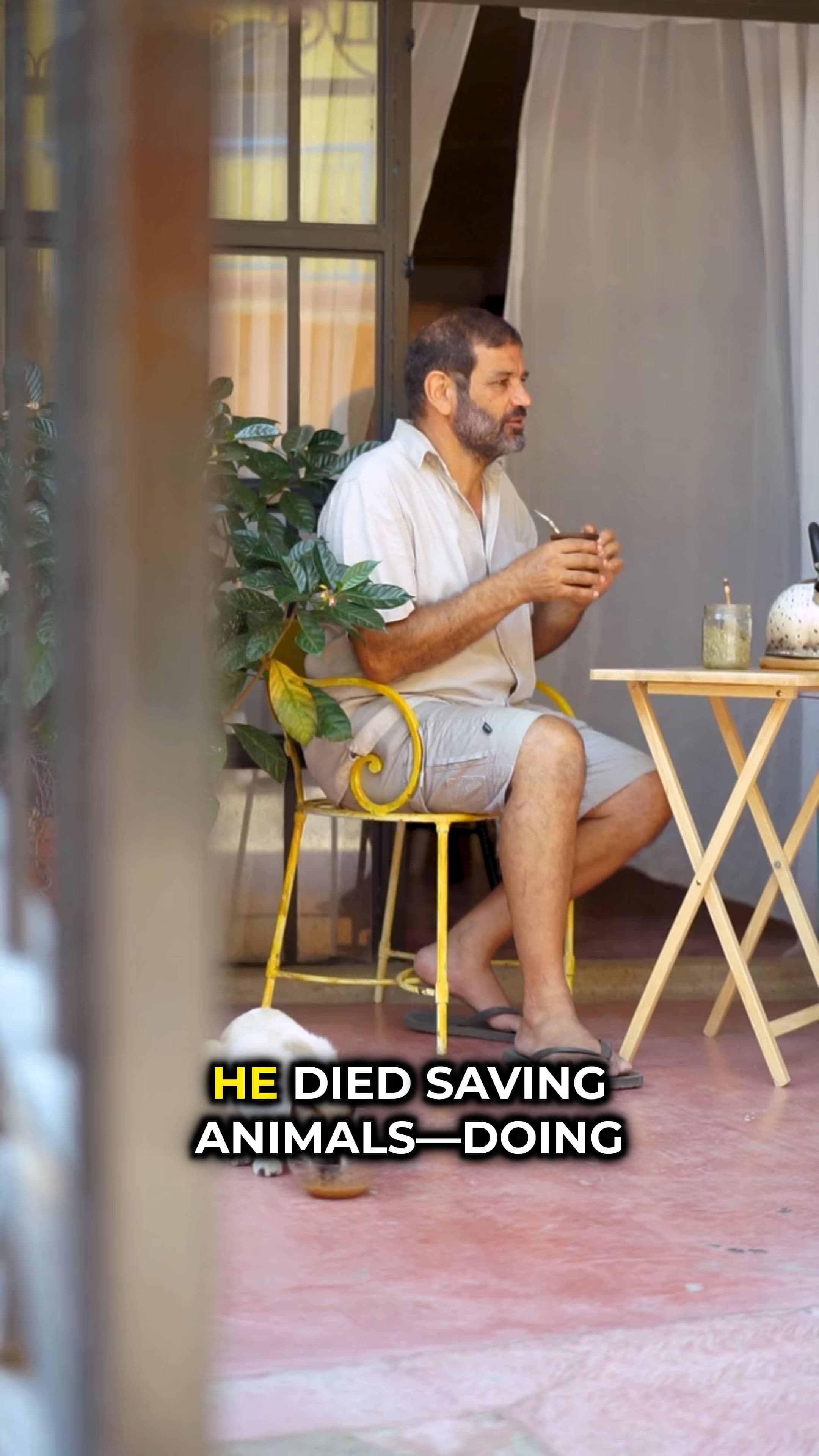 Rescue Effort After Cat Sanctuary Fire