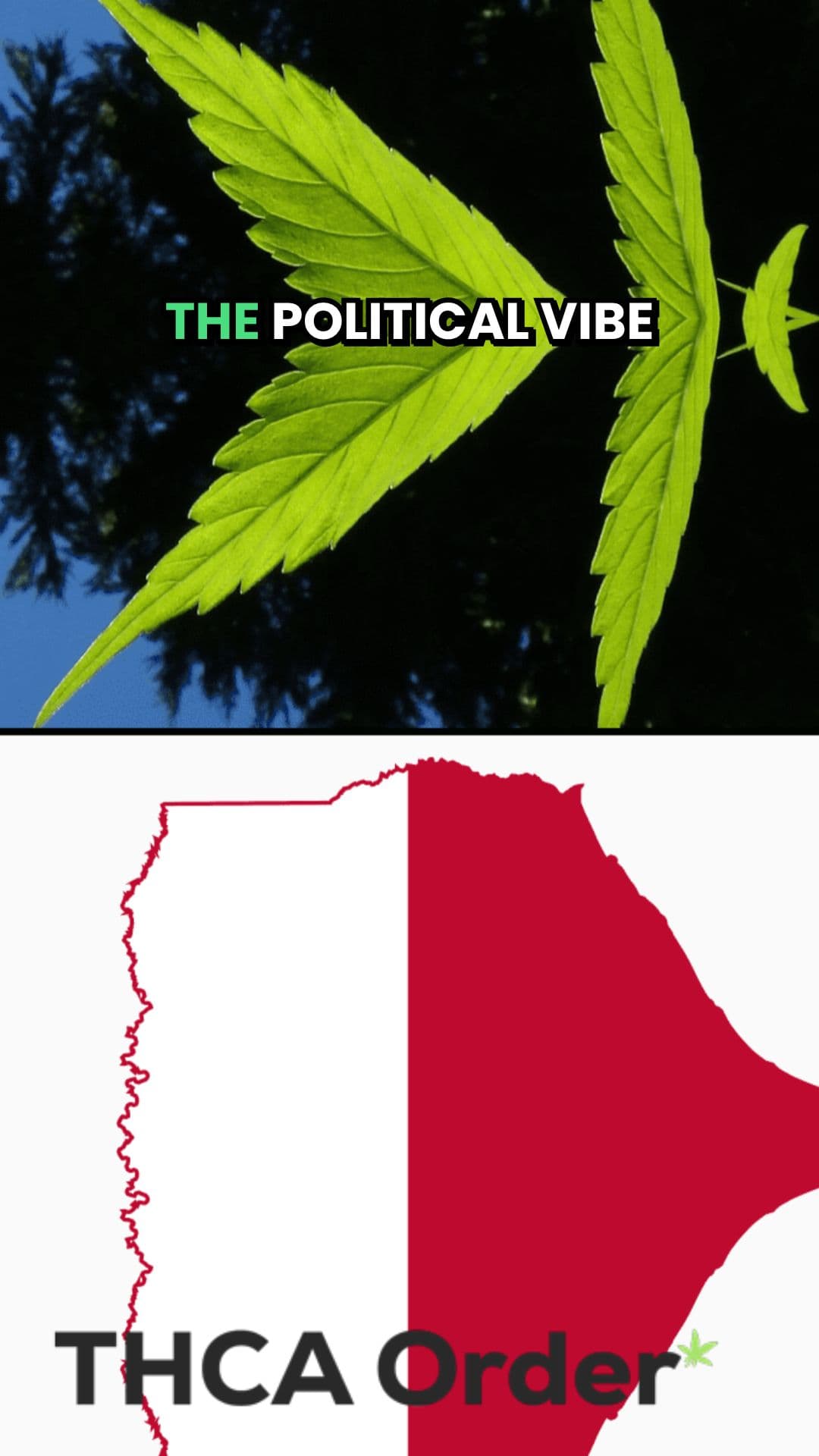 Political Shift on Weed Legalization
