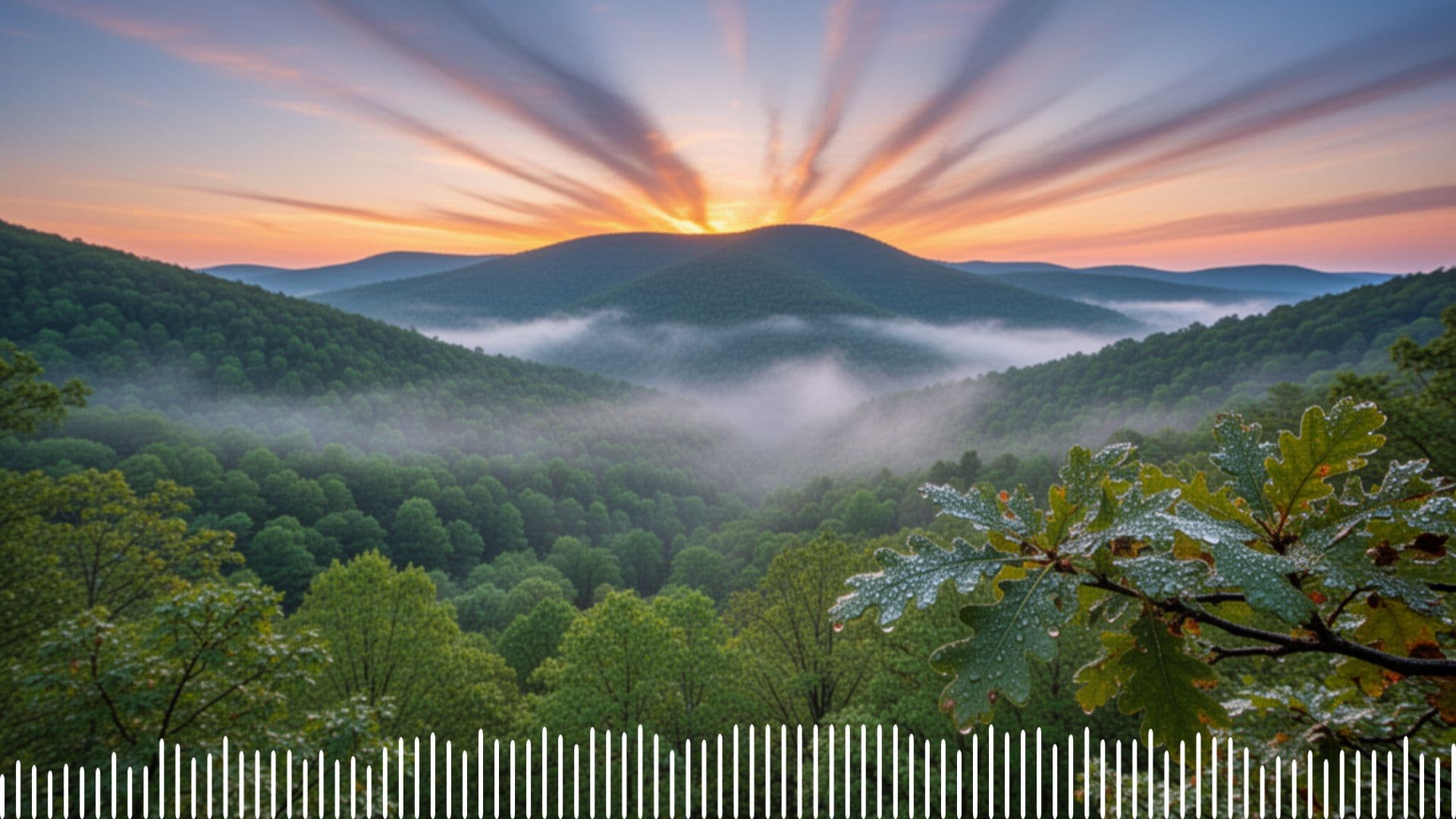 Backwoods Millionaire