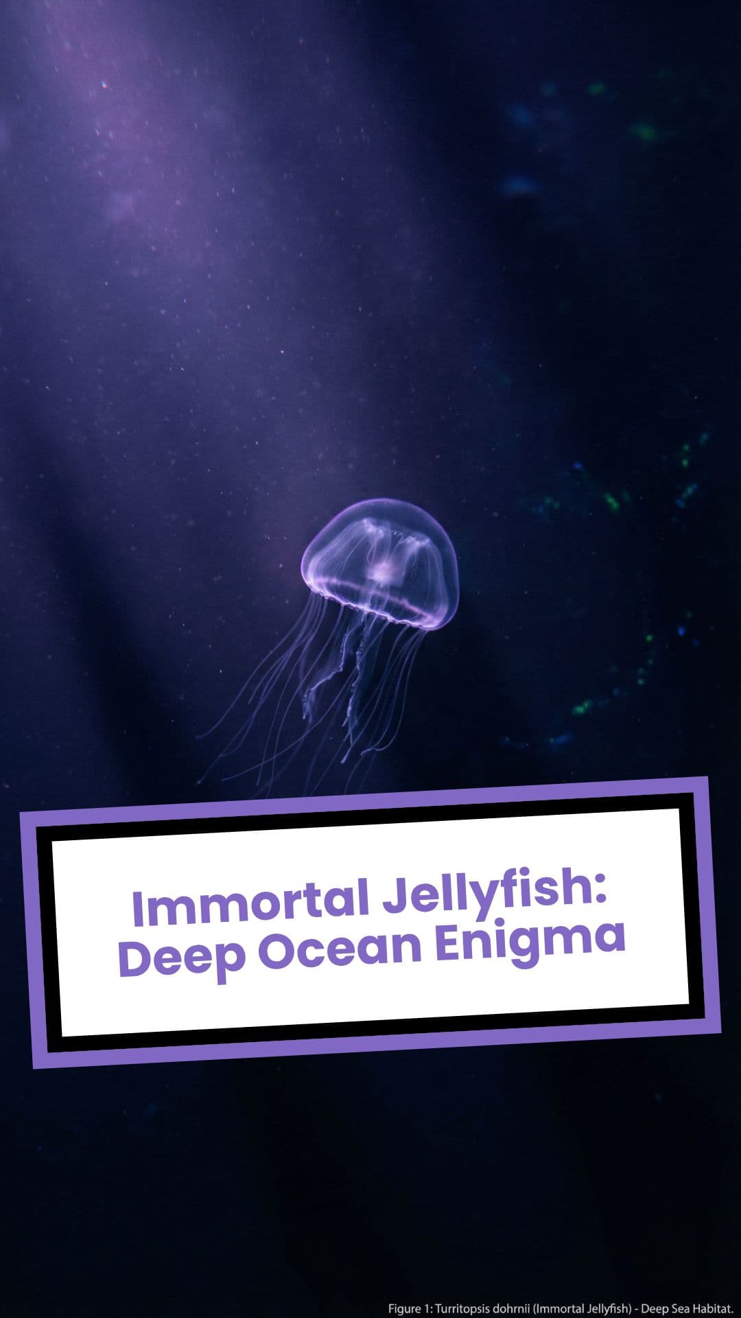 Immortal Jellyfish: Deep Ocean Enigma