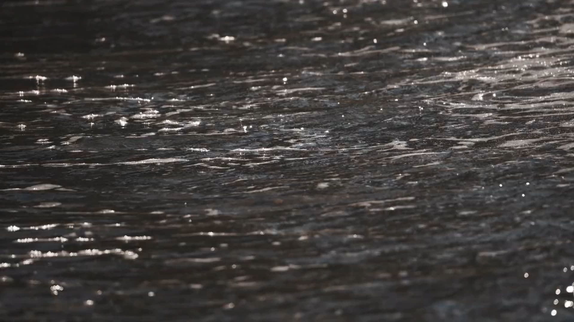 Une lanterne douce dans l’orage