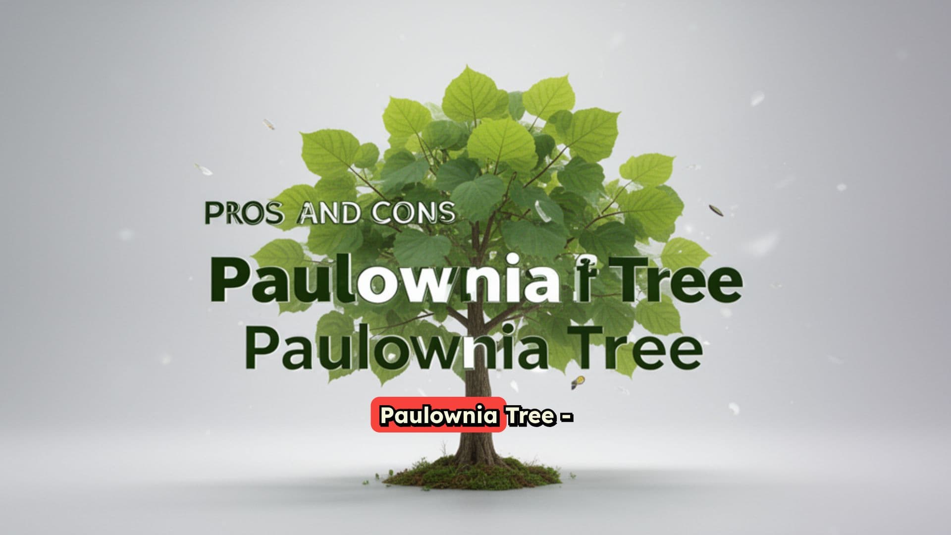 Paulownia Trees: Pros and Cons