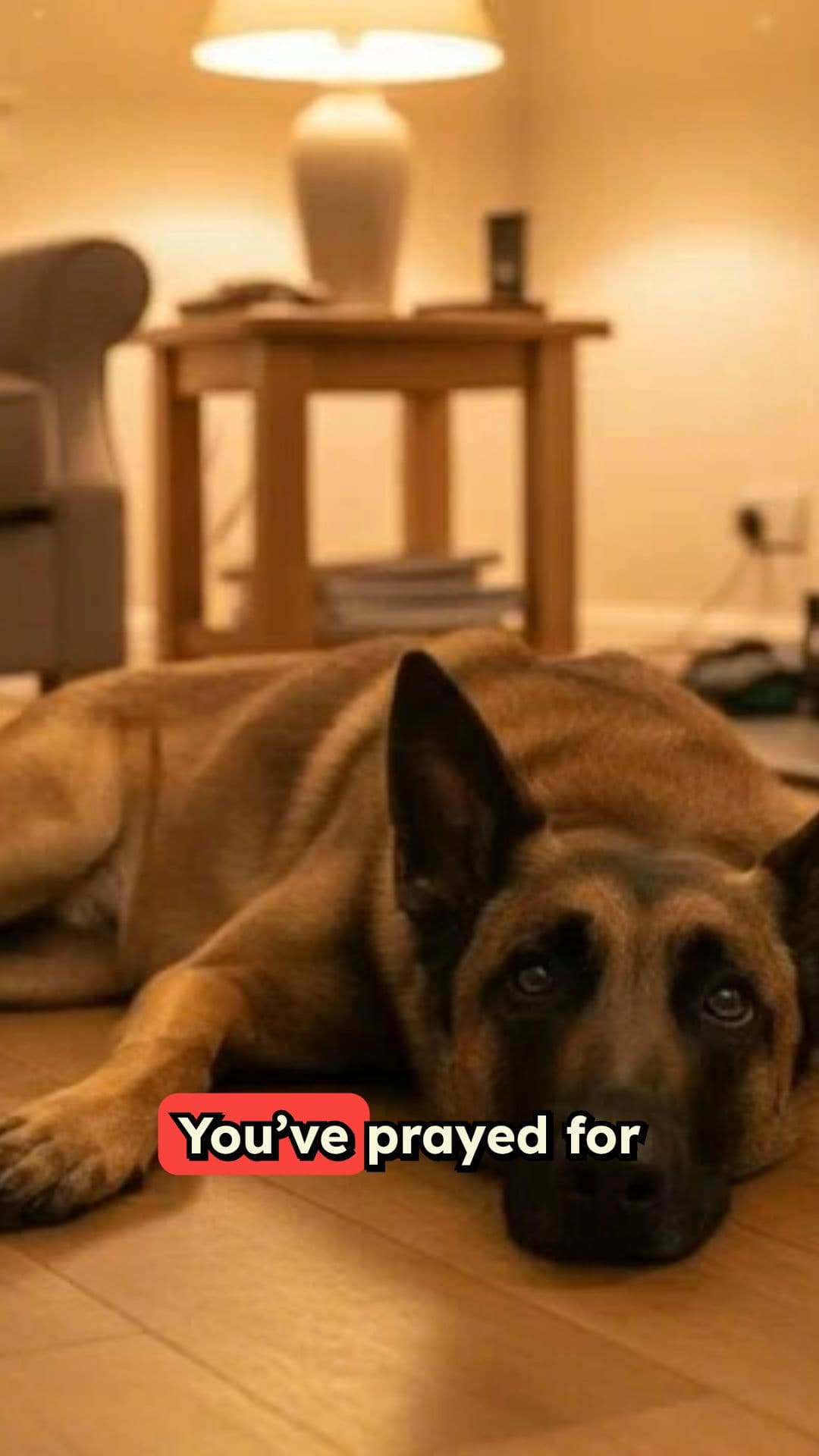 Finding Peace in the Storm