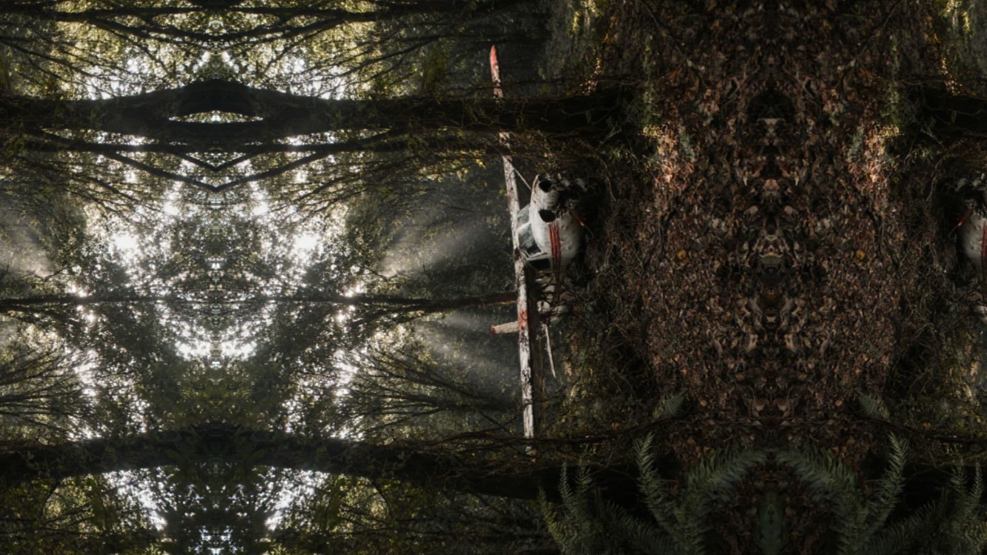 40 días perdidos en la Amazonía