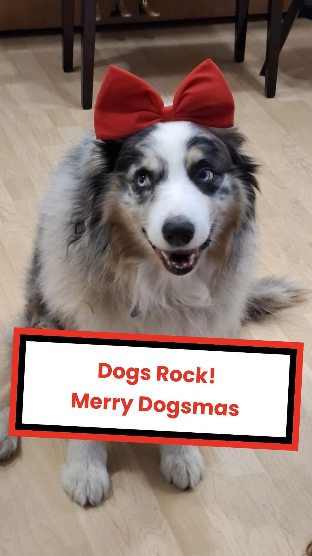 Merry Dogsmas with Santa's Dogs (duplicated)