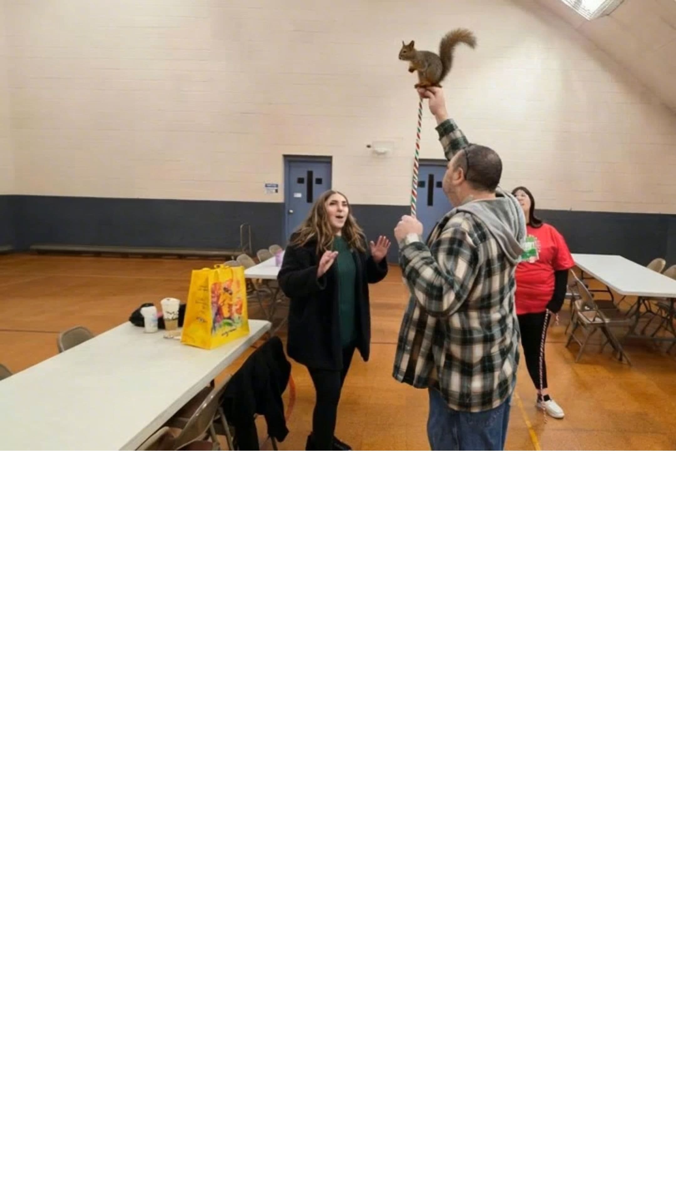 Image transform video