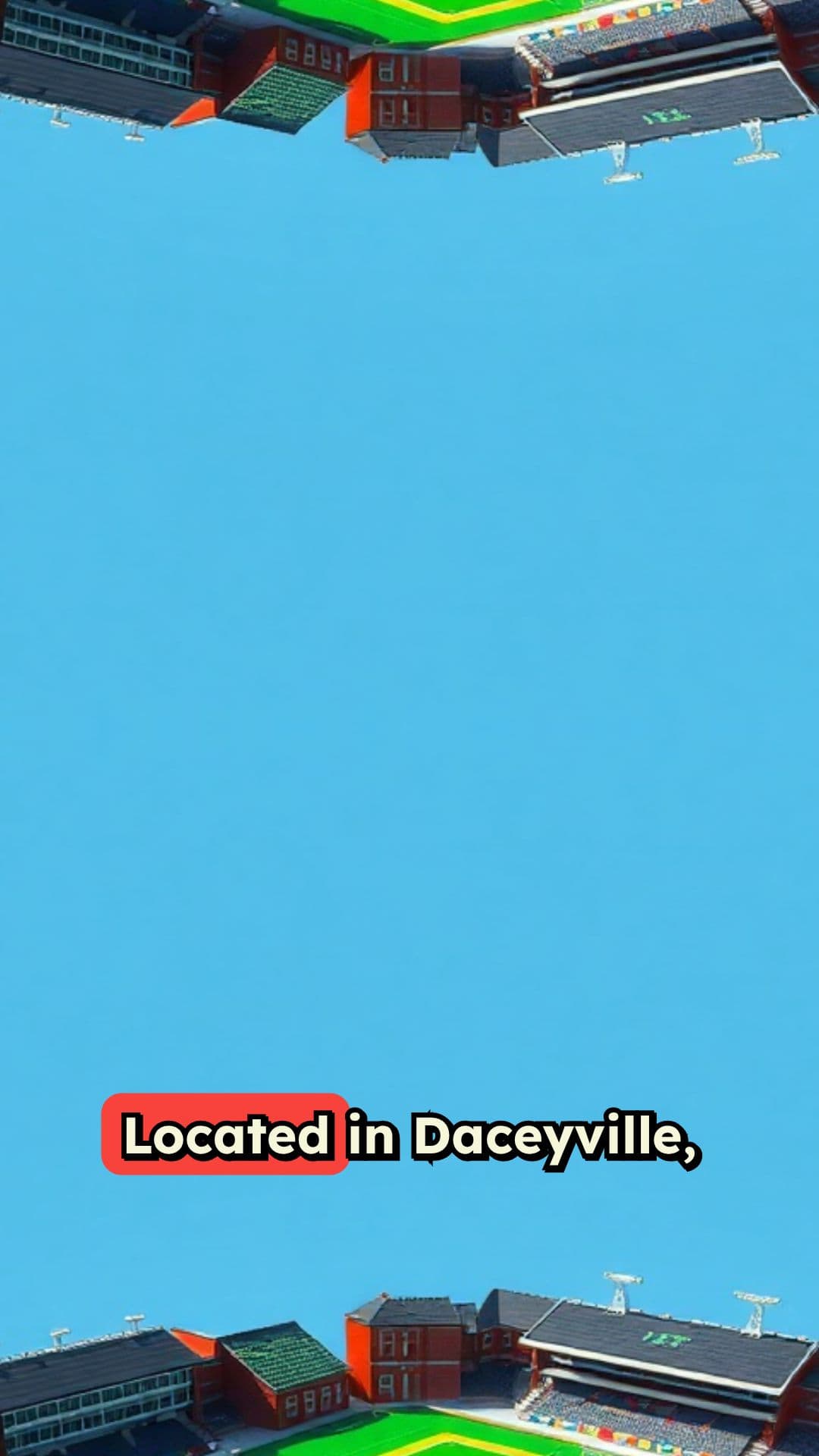 UNSW David Phillips Sports Field Sustainability Transformation